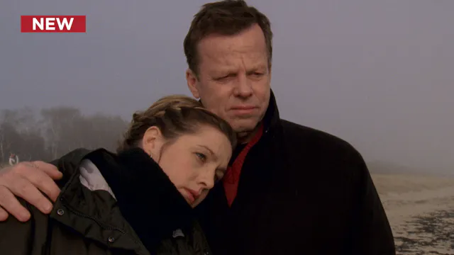 Wallander: The Secret