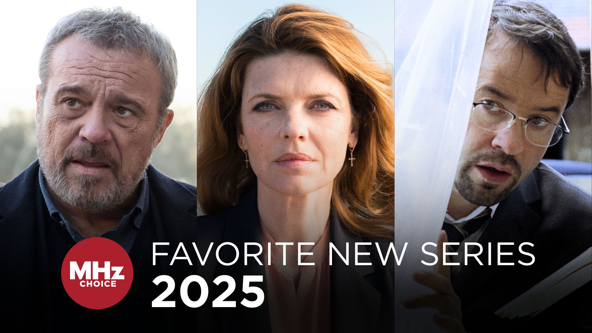 2025 Fan Favorite New Series