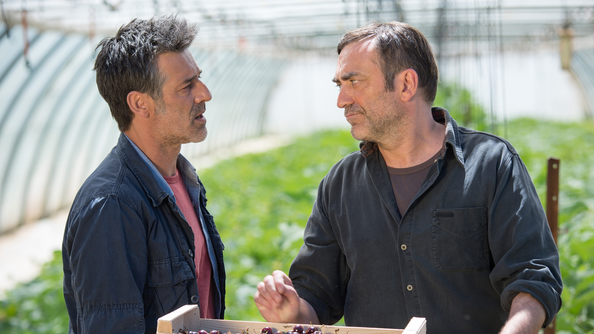 Tandem: Out of the Ordinary