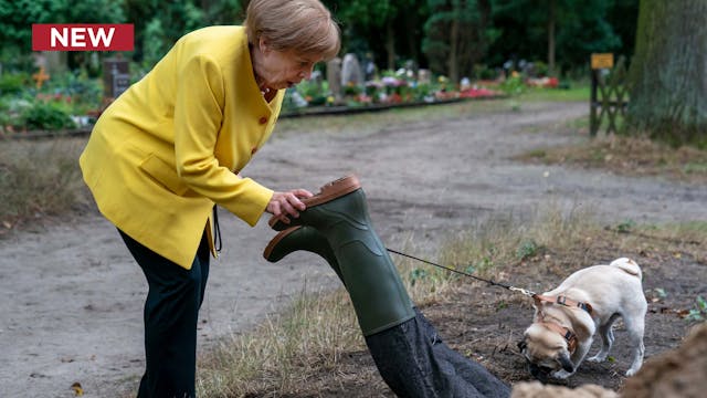 Miss Merkel: Murder in the Cemetery