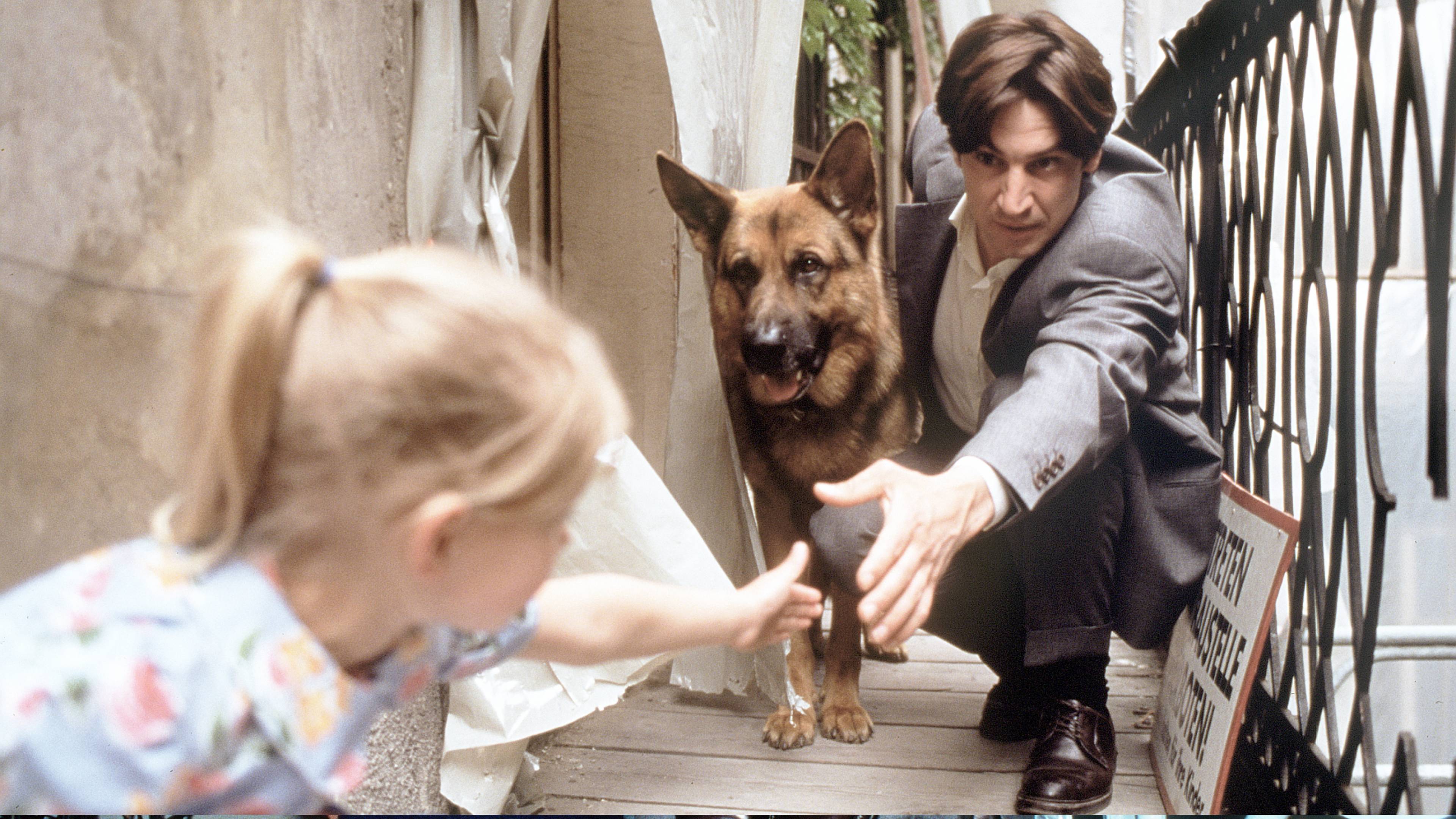 Inspector Rex: The Doll Killer