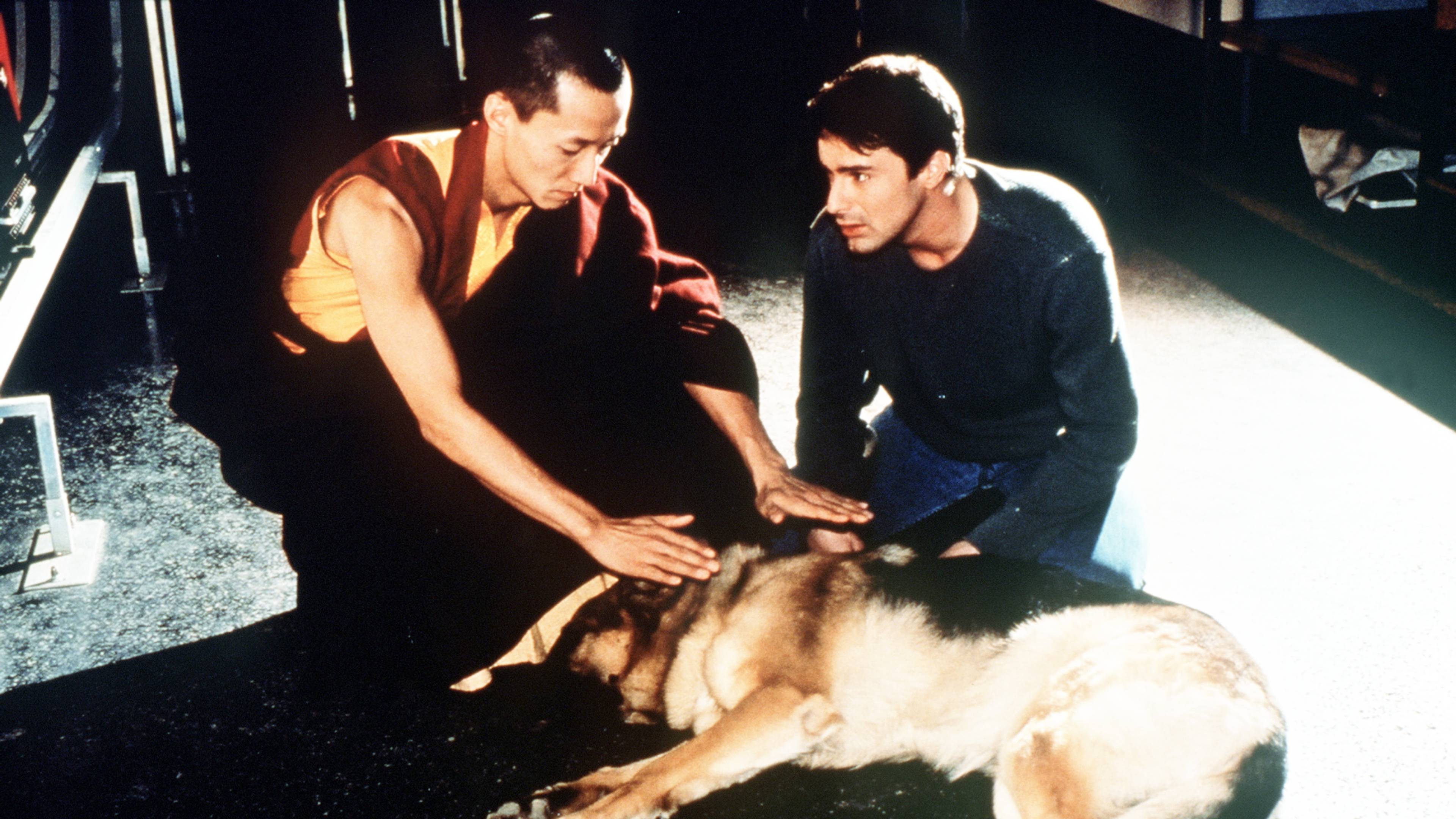 Inspector Rex: Hunt for Eternal Life