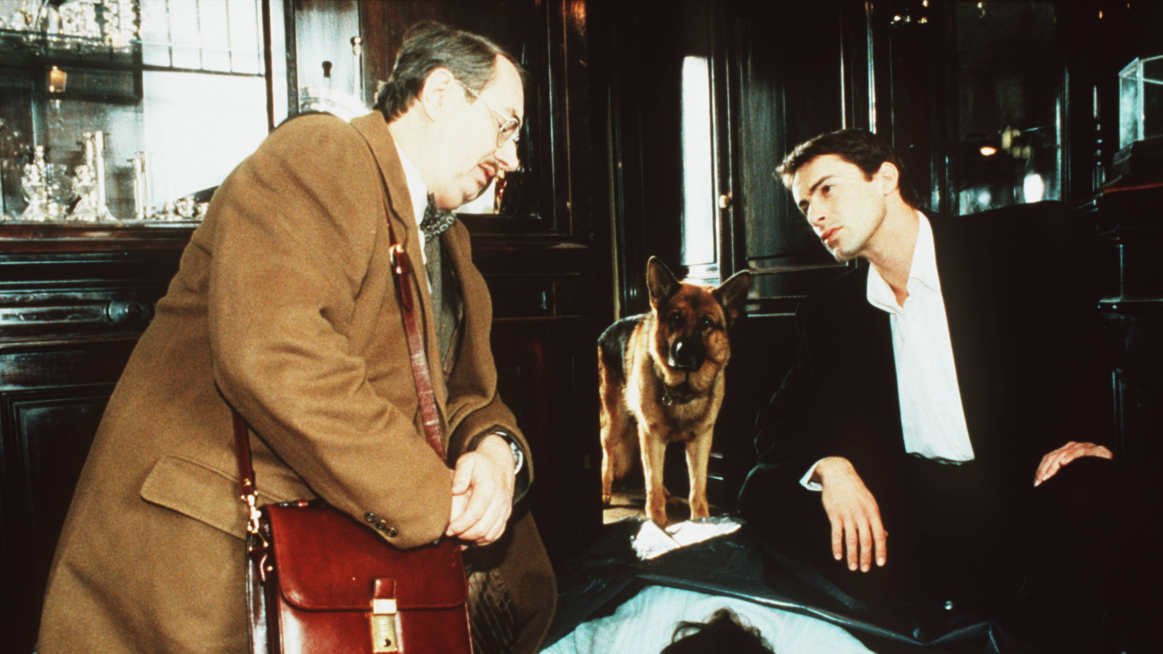 Inspector Rex: Terrible Truth