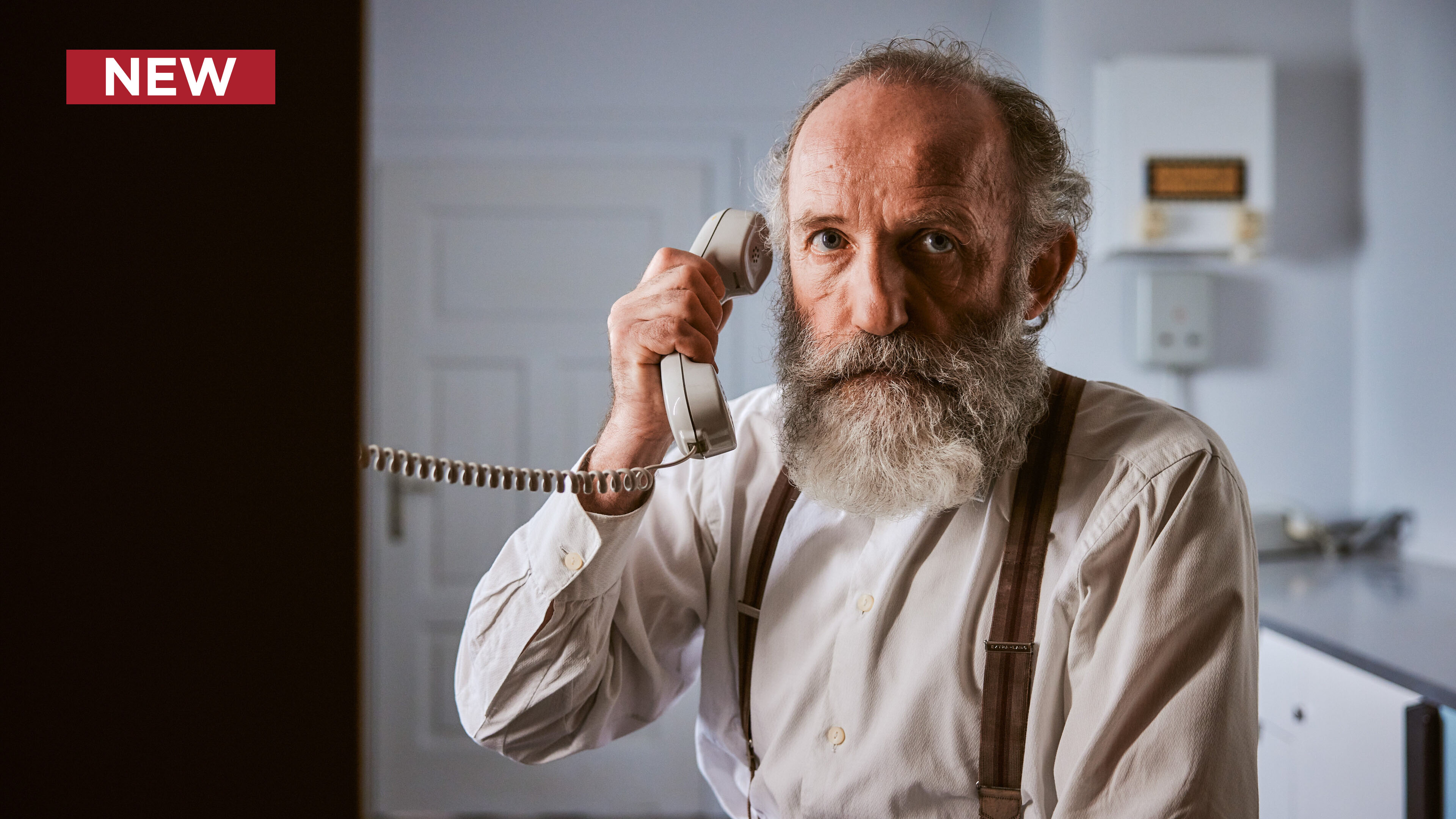 Backwoods Crime: The Silence of the Donkeys