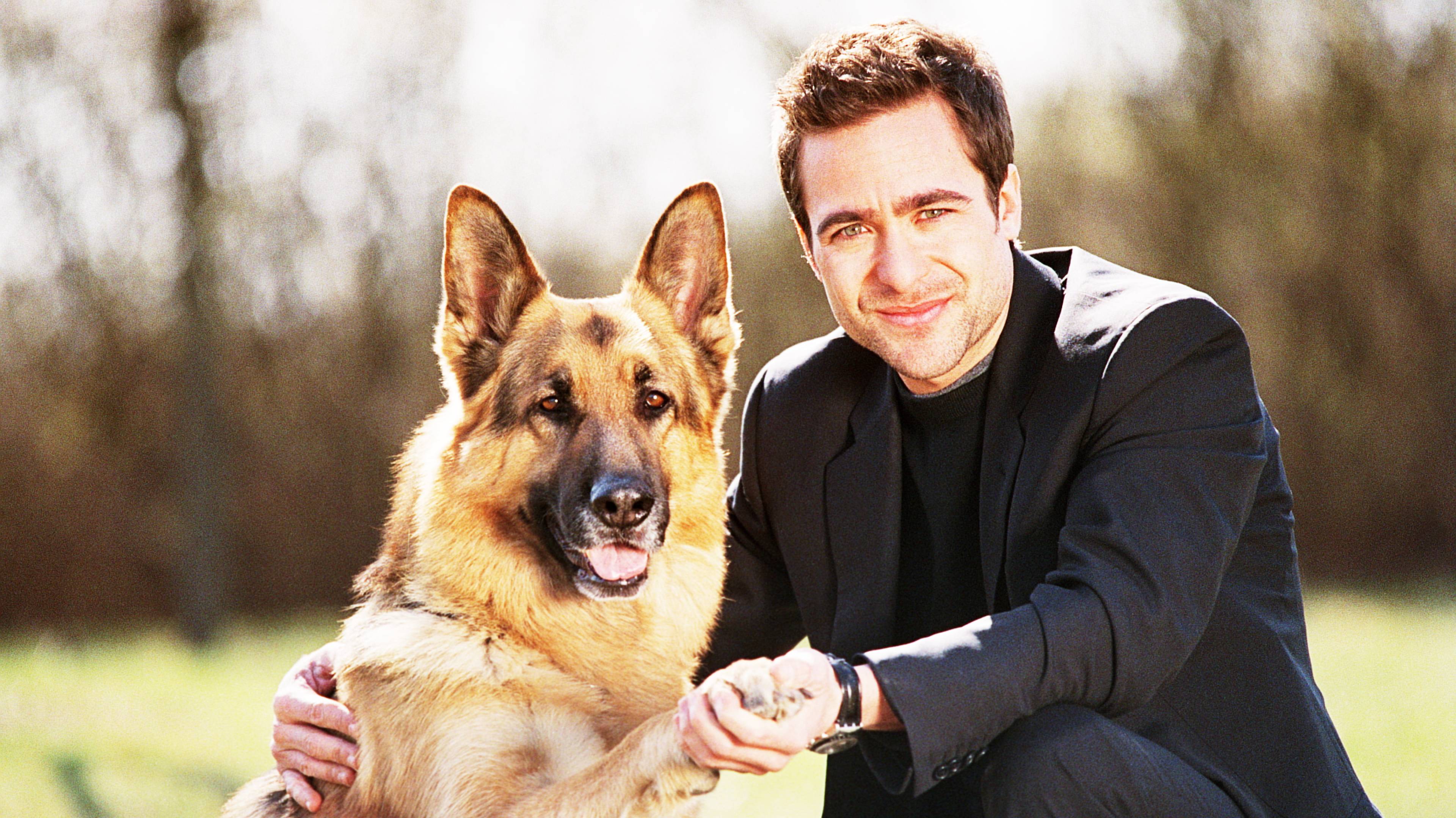 Inspector Rex: A Night at the Hospital