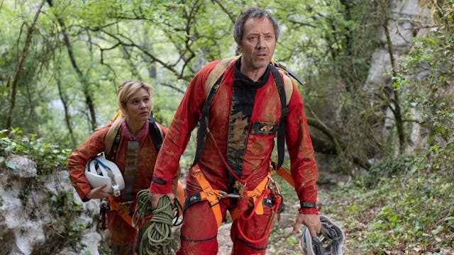 The Traveller: The Perched Forest