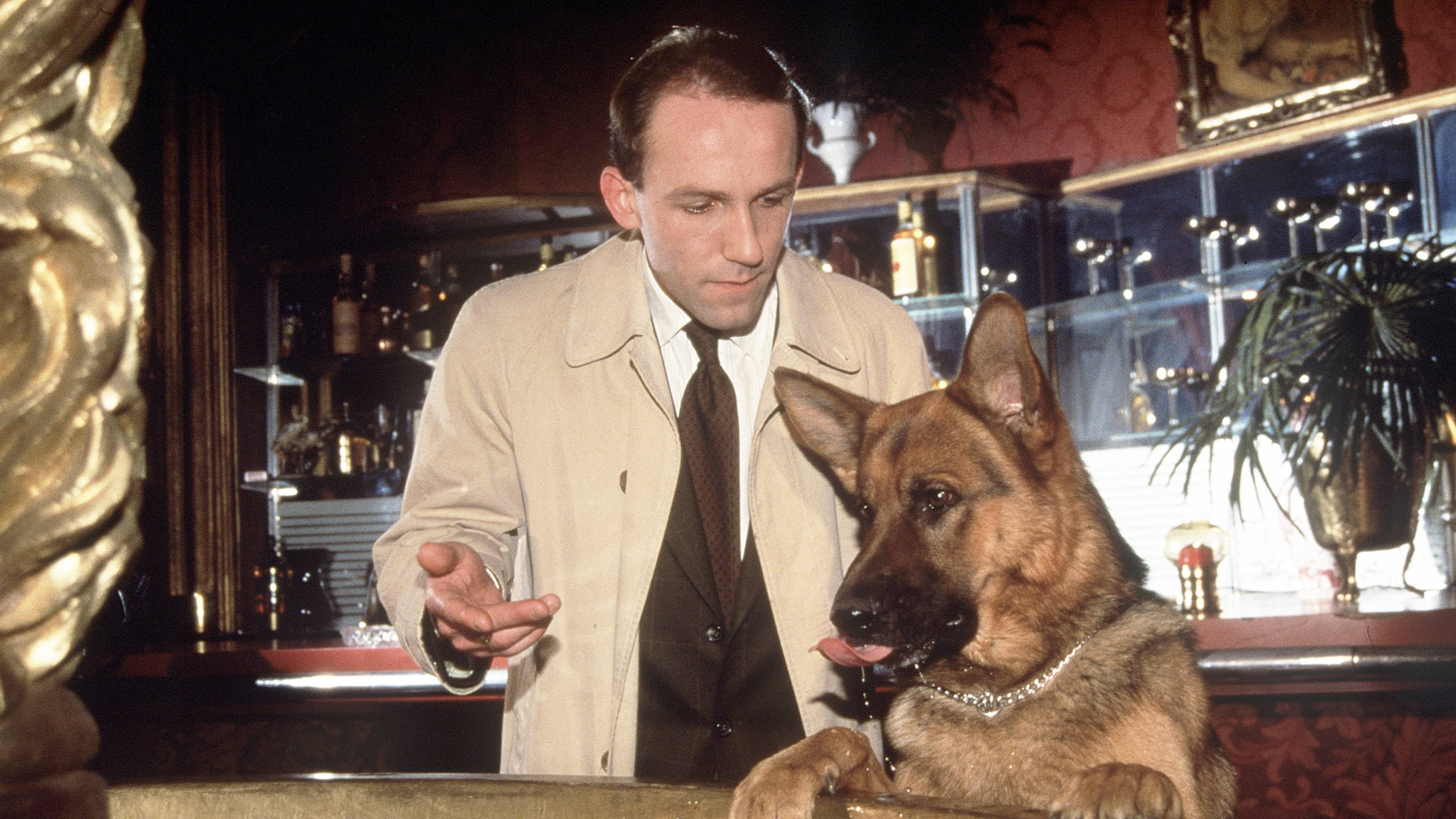 Inspector Rex: Above the Rooftops of Vienna