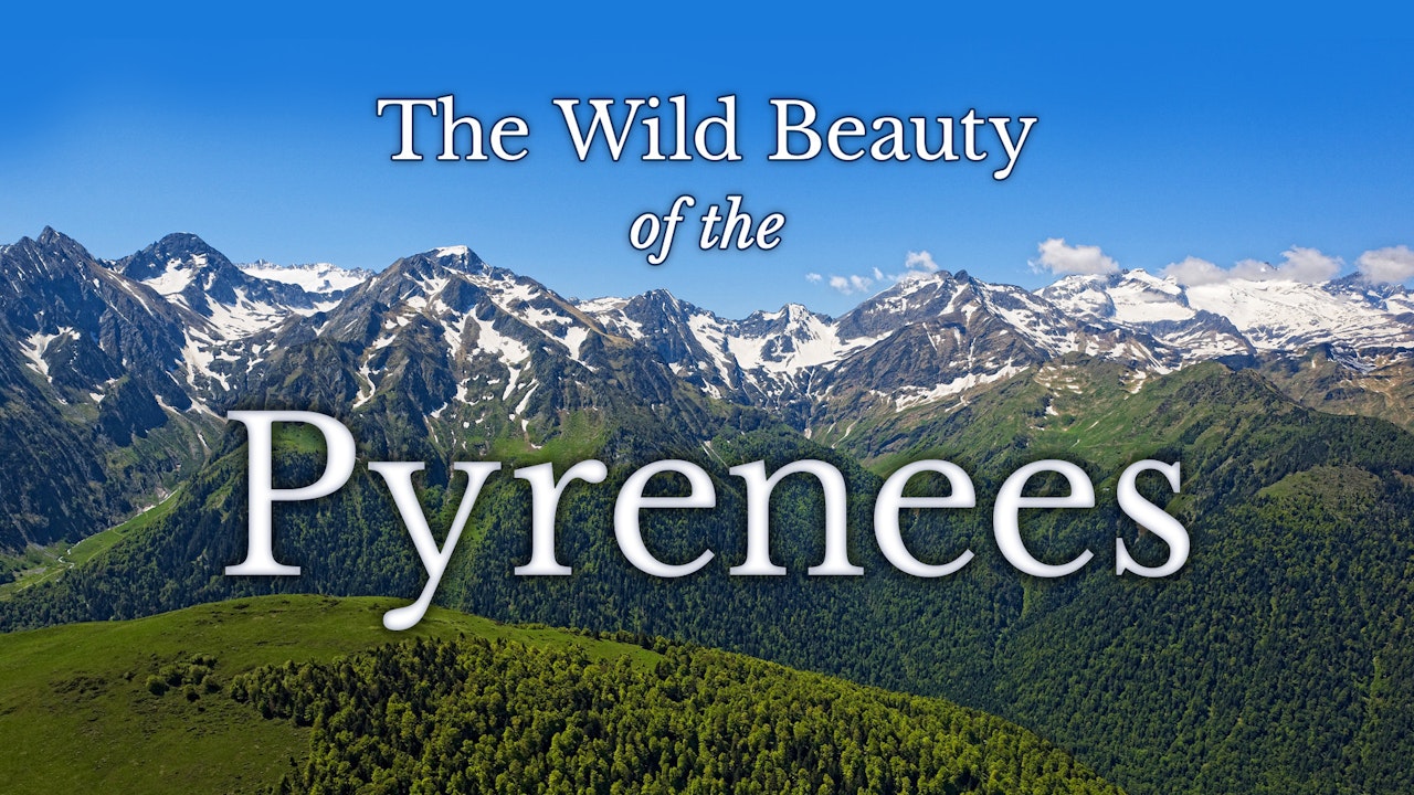 The Wild Beauty of the Pyrenees