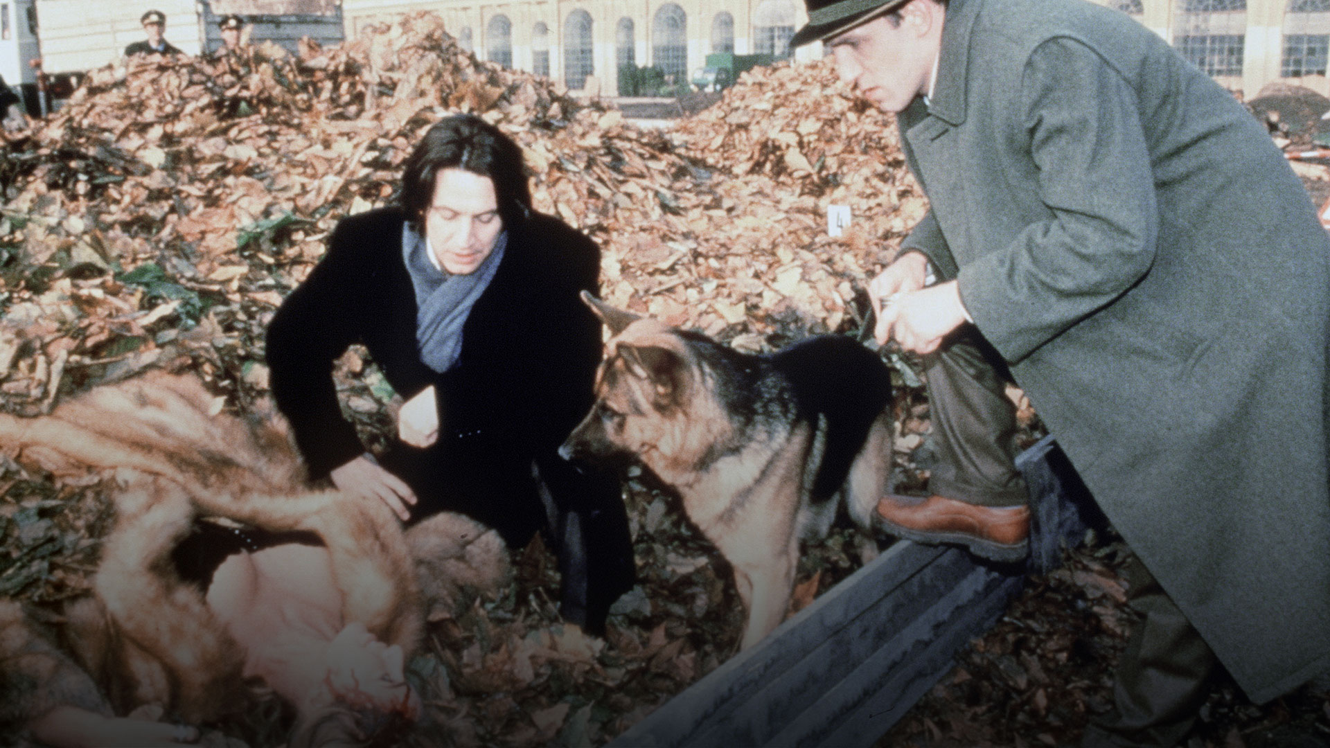 Inspector Rex: Murder at Schönbrunn (Sn 1 Ep 4)