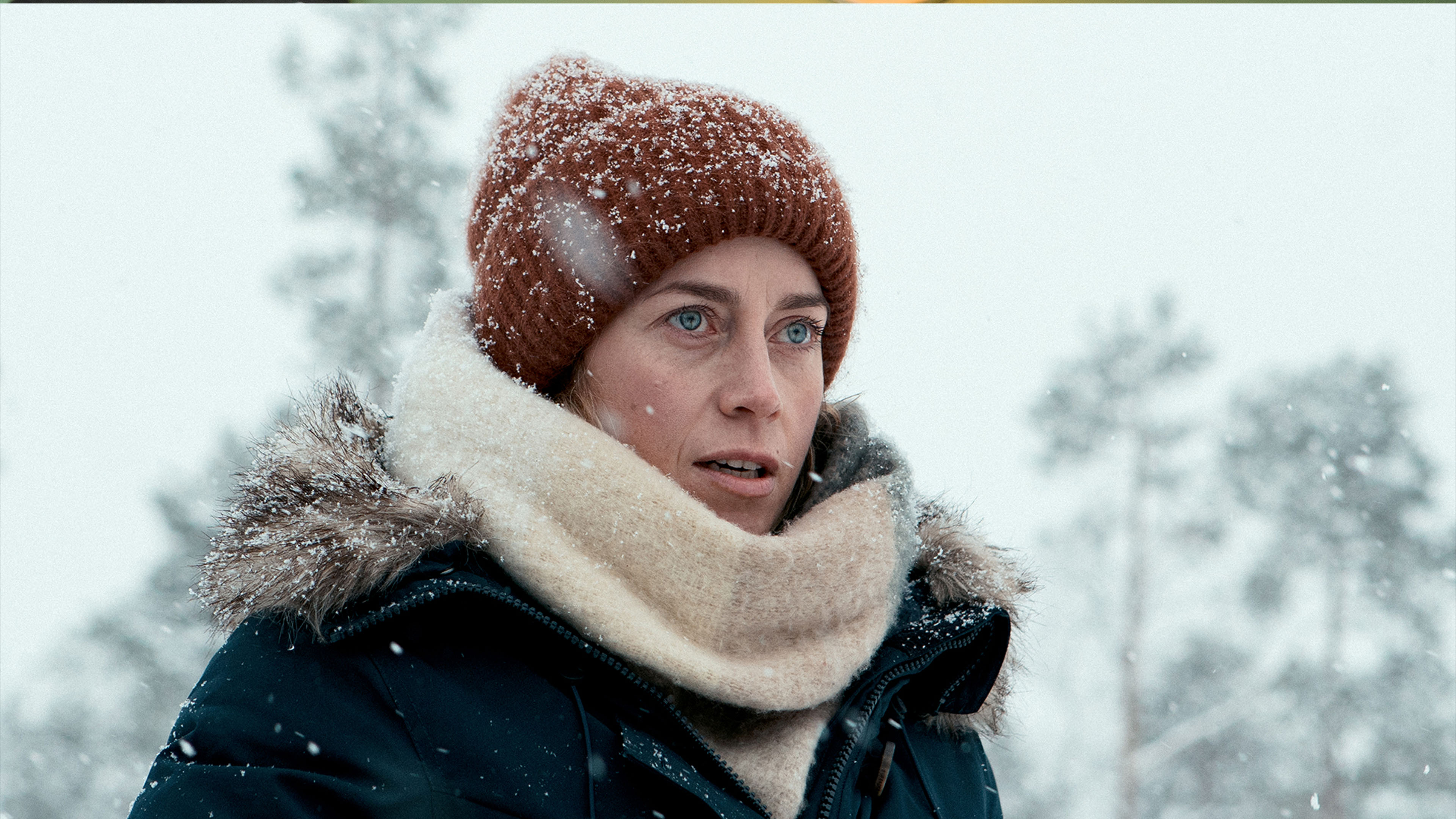 Arctic Circle: Hide and Seek