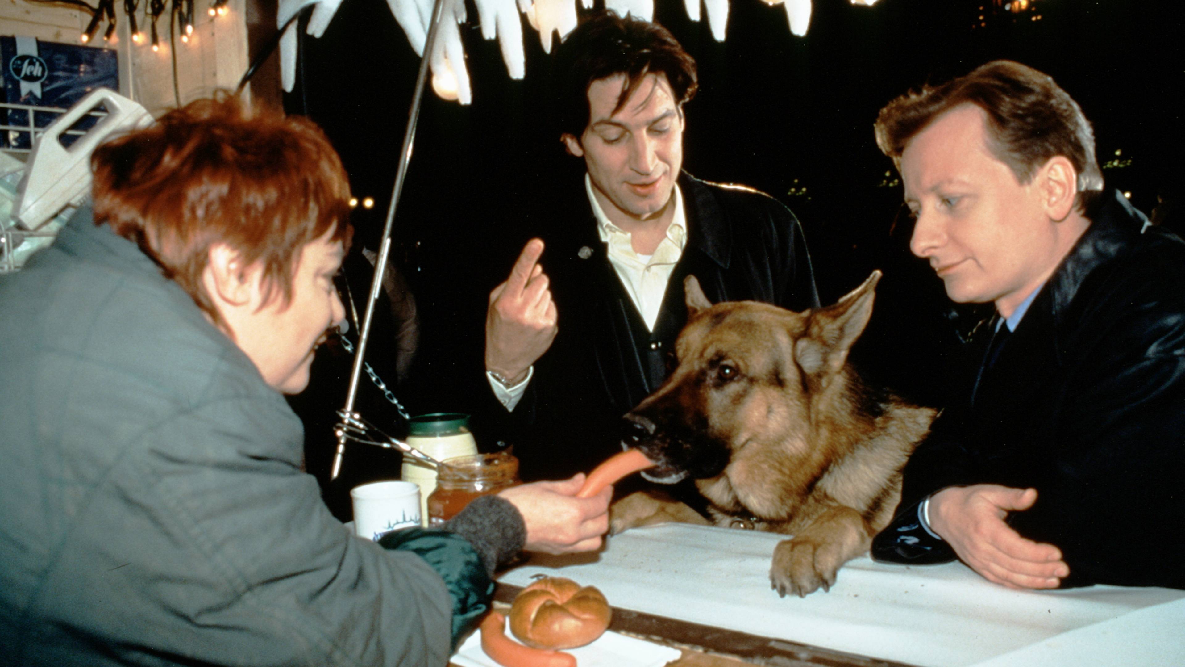 Inspector Rex: City in Fear