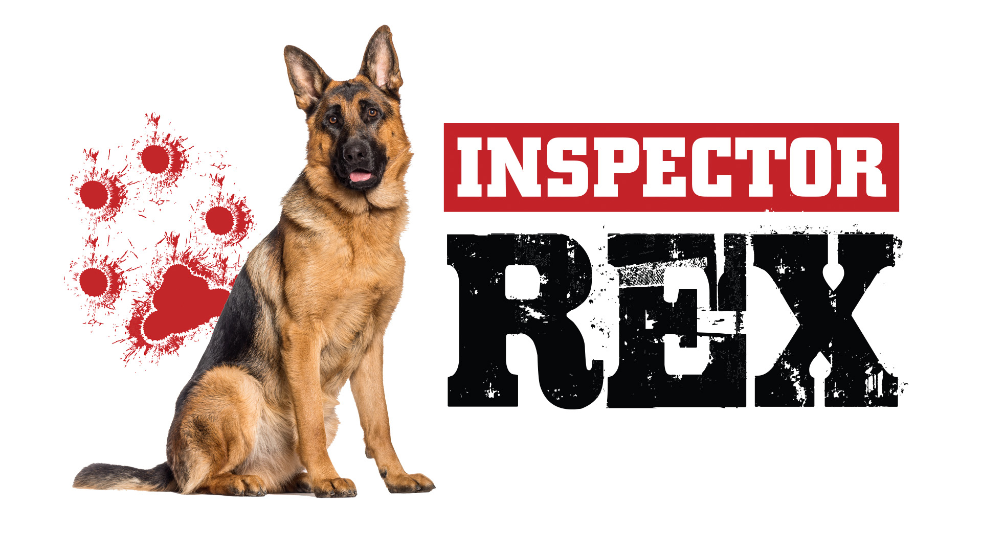 Inspector Rex