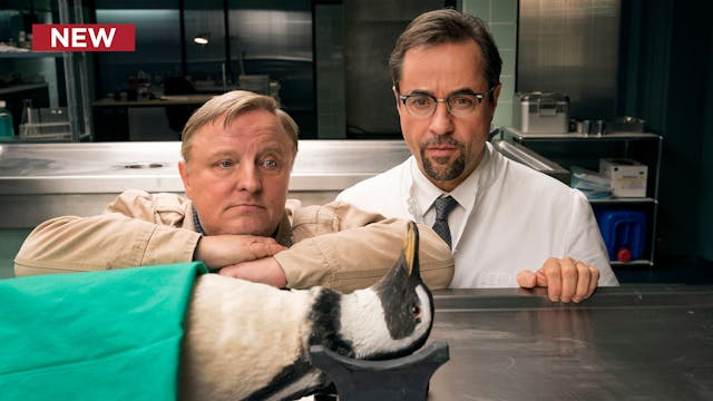 Tatort: Munster: Snake Pit