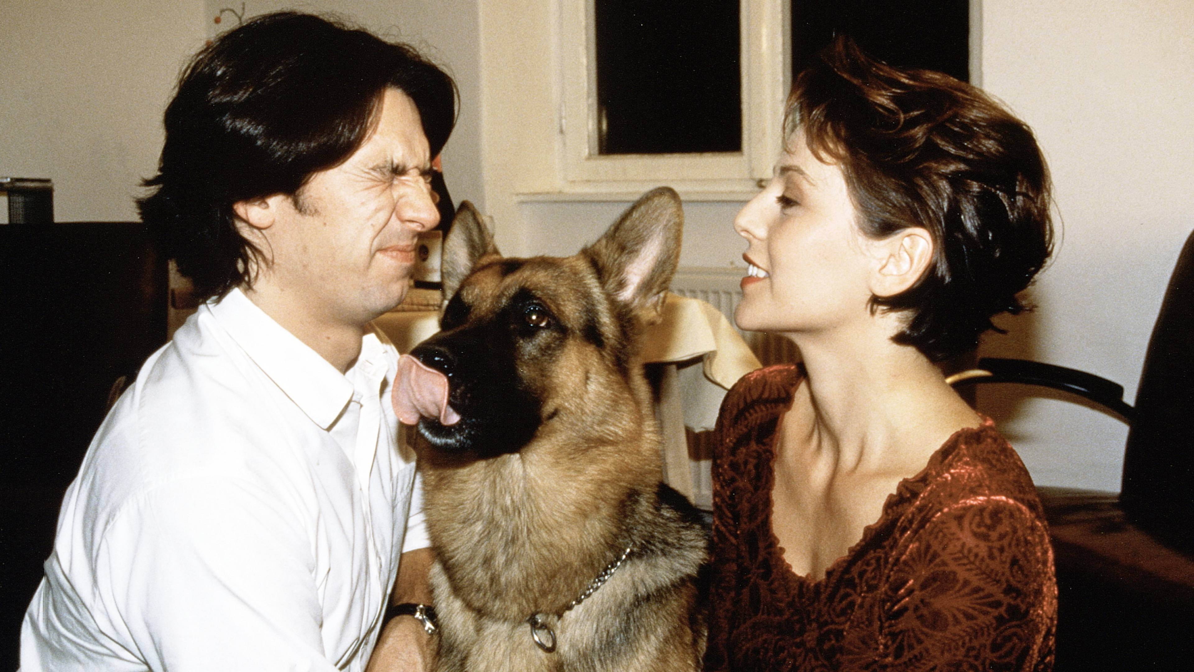 Inspector Rex: The Masked Death