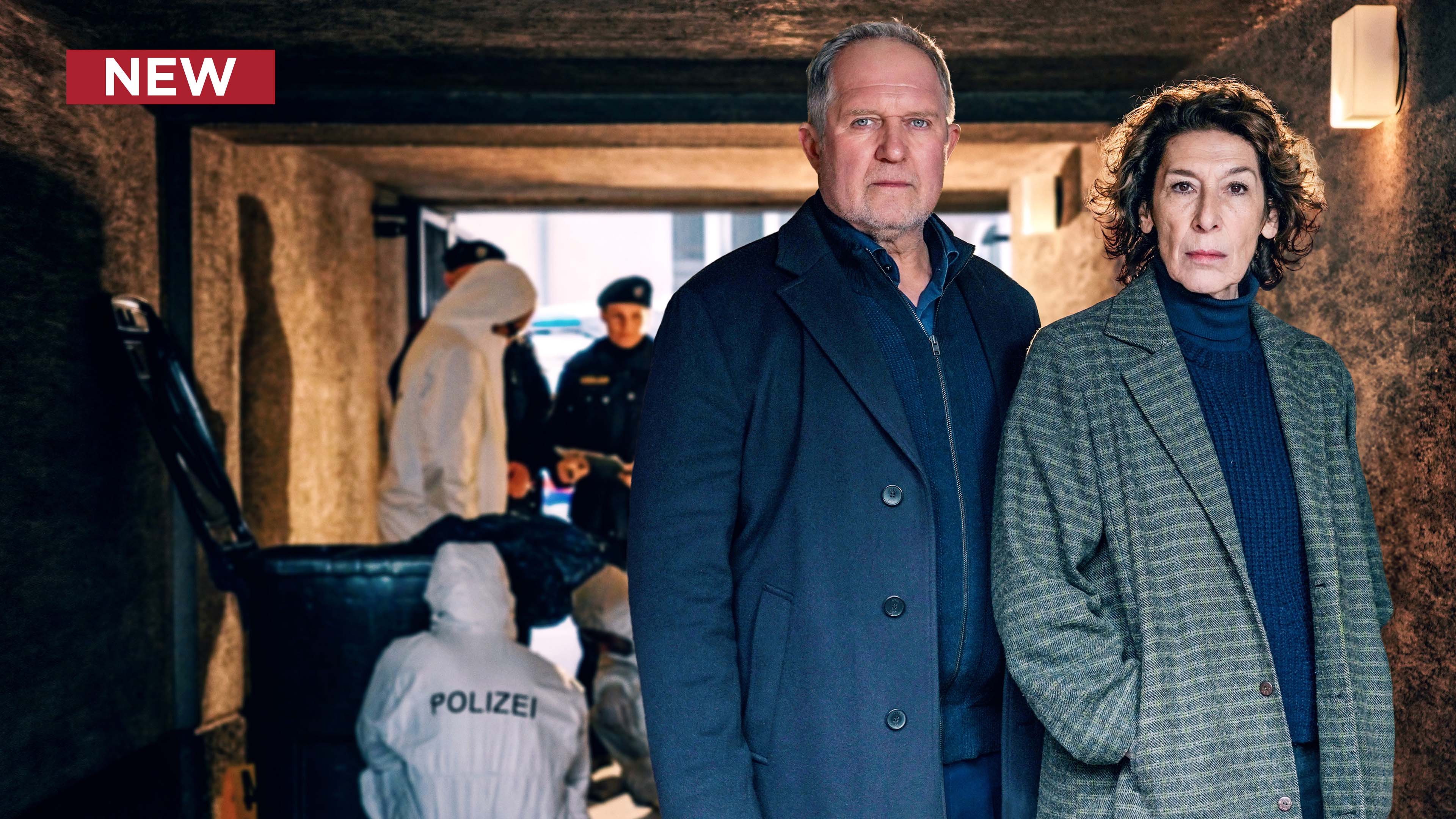 Tatort: Vienna: Crime and Punishment