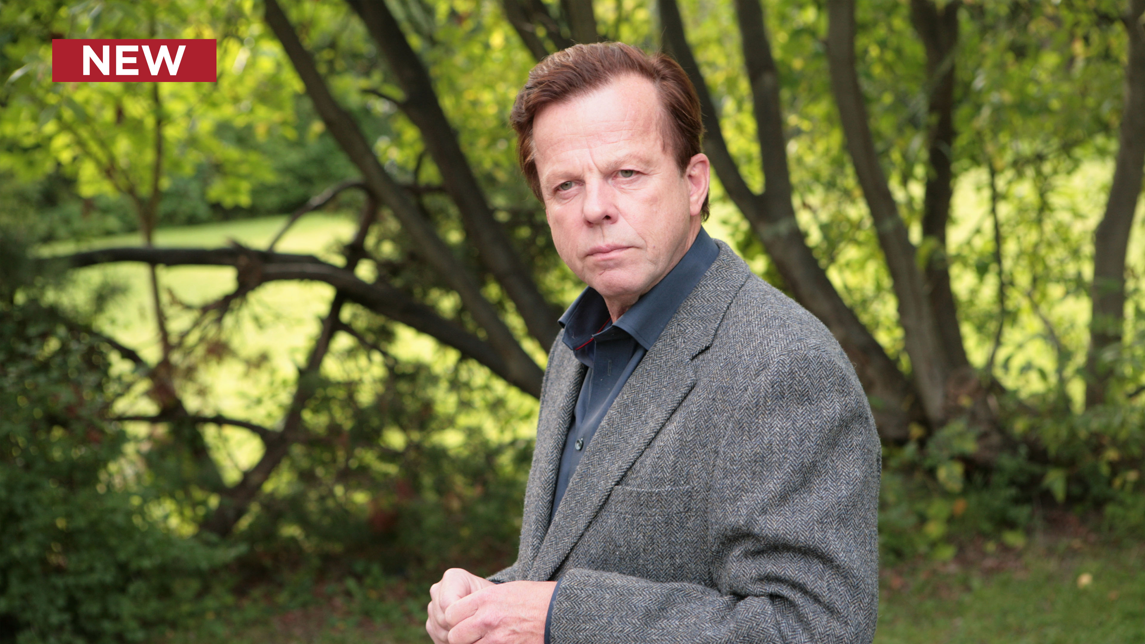 Wallander: The Guilt