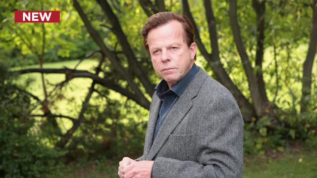 Wallander: The Guilt