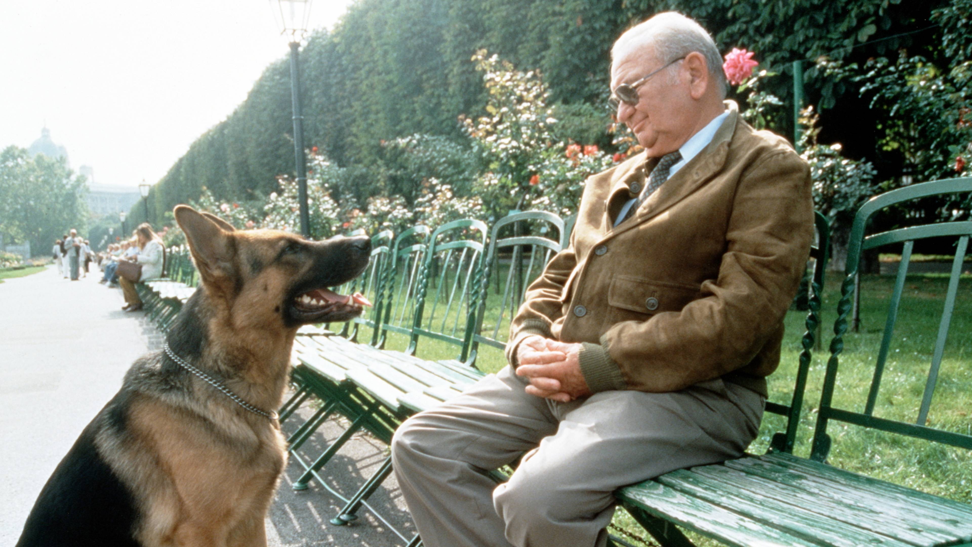 Inspector Rex: Deadly Seduction