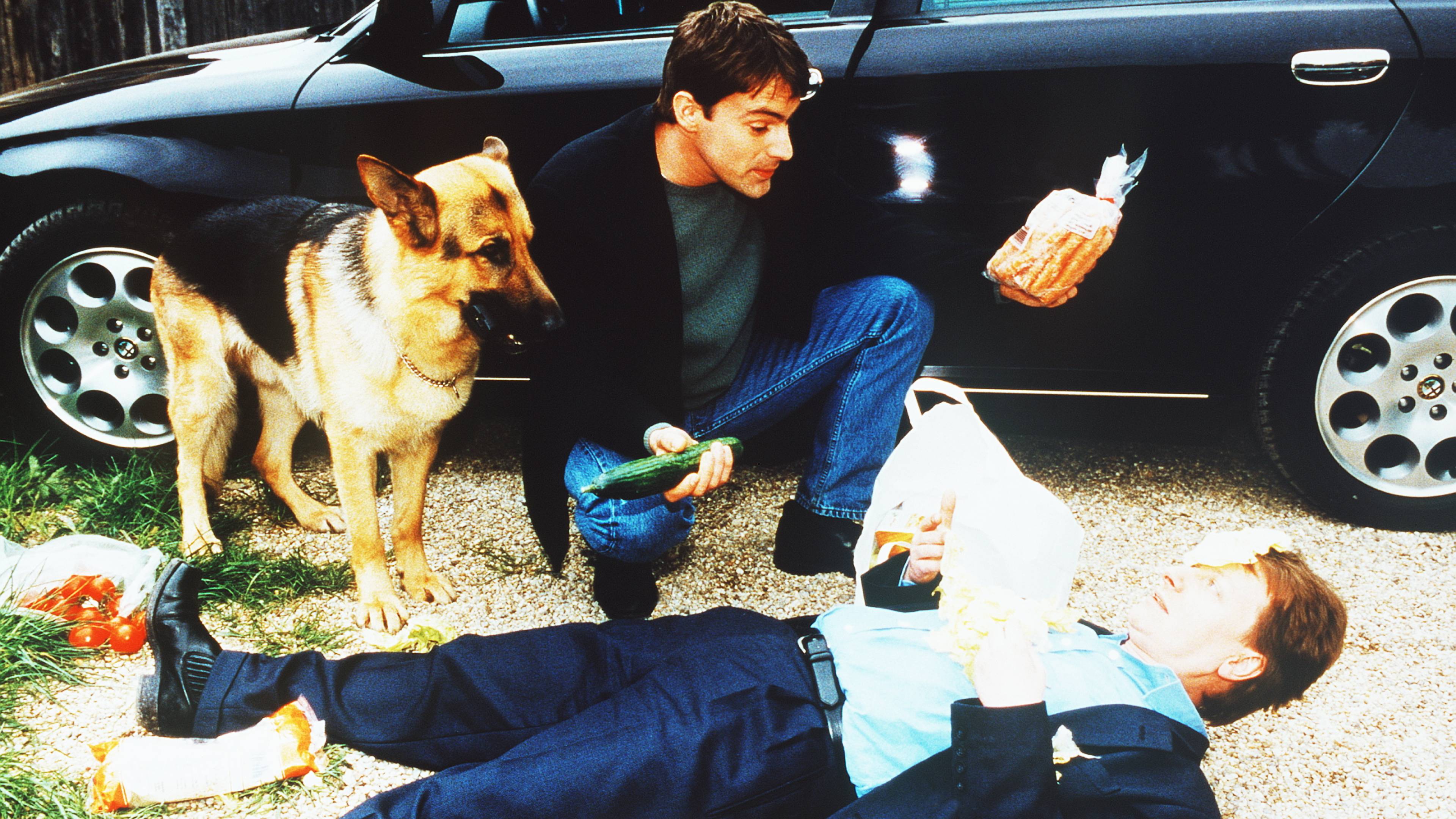 Inspector Rex: Ice Cold