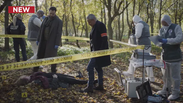 Alice Nevers: Rumors