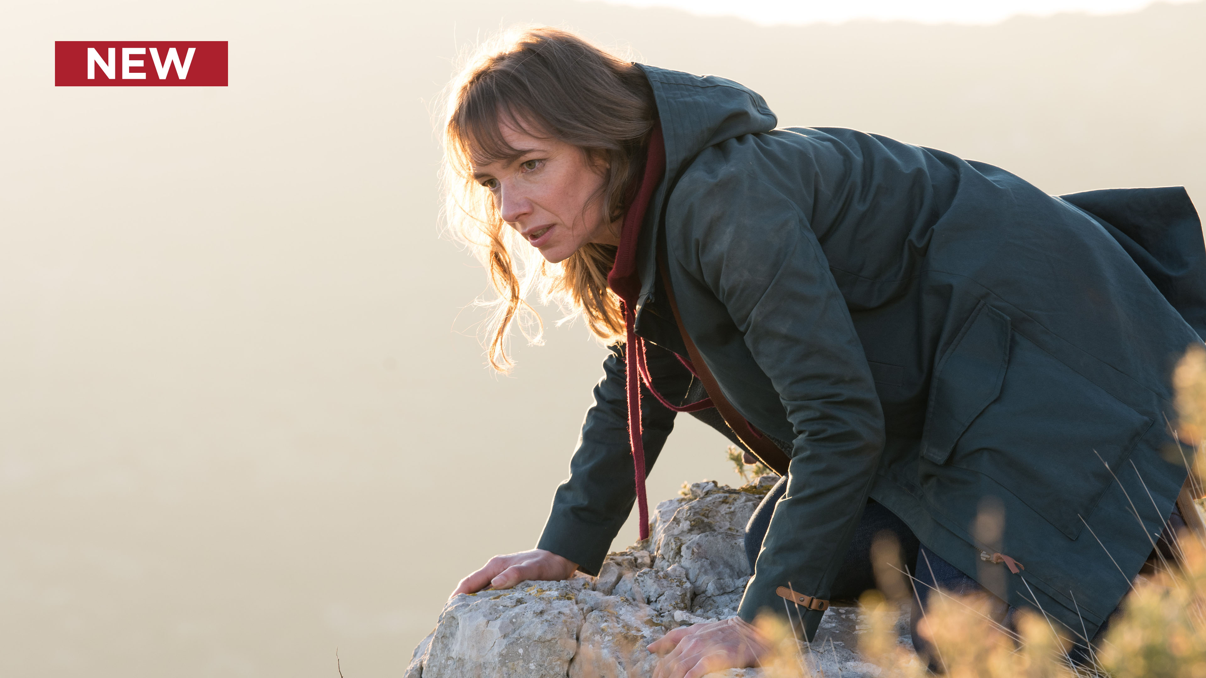 Family Cases: Family Cases, Part 1