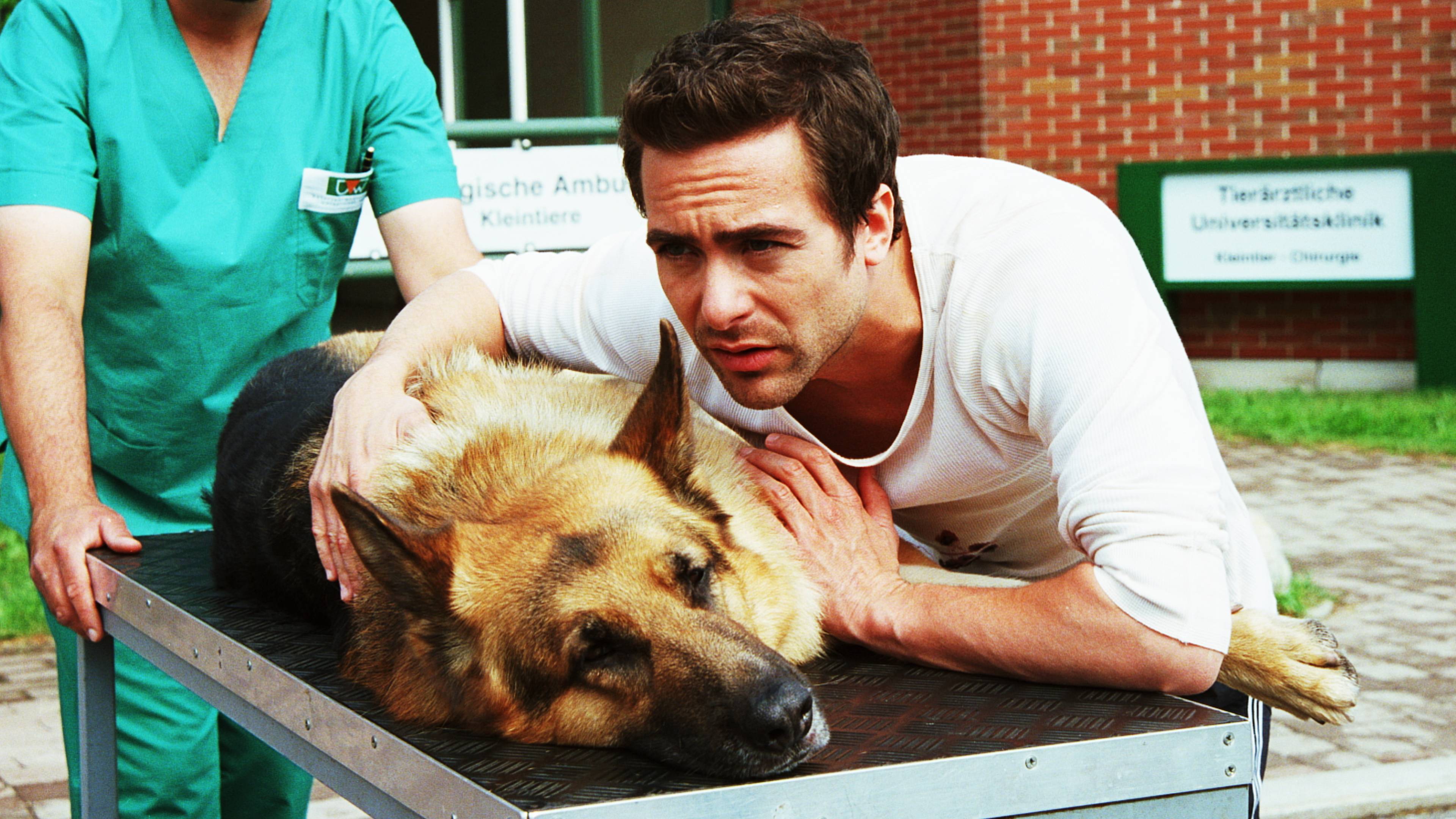 Inspector Rex: Target Rex 2