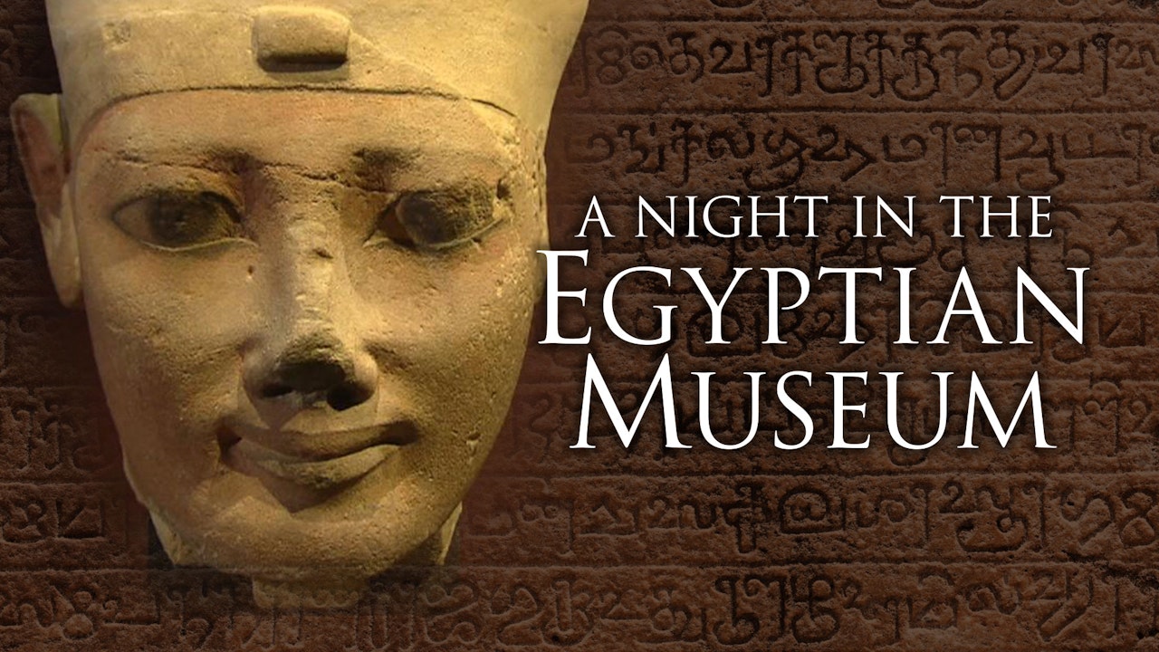 A Night in the Egyptian Museum