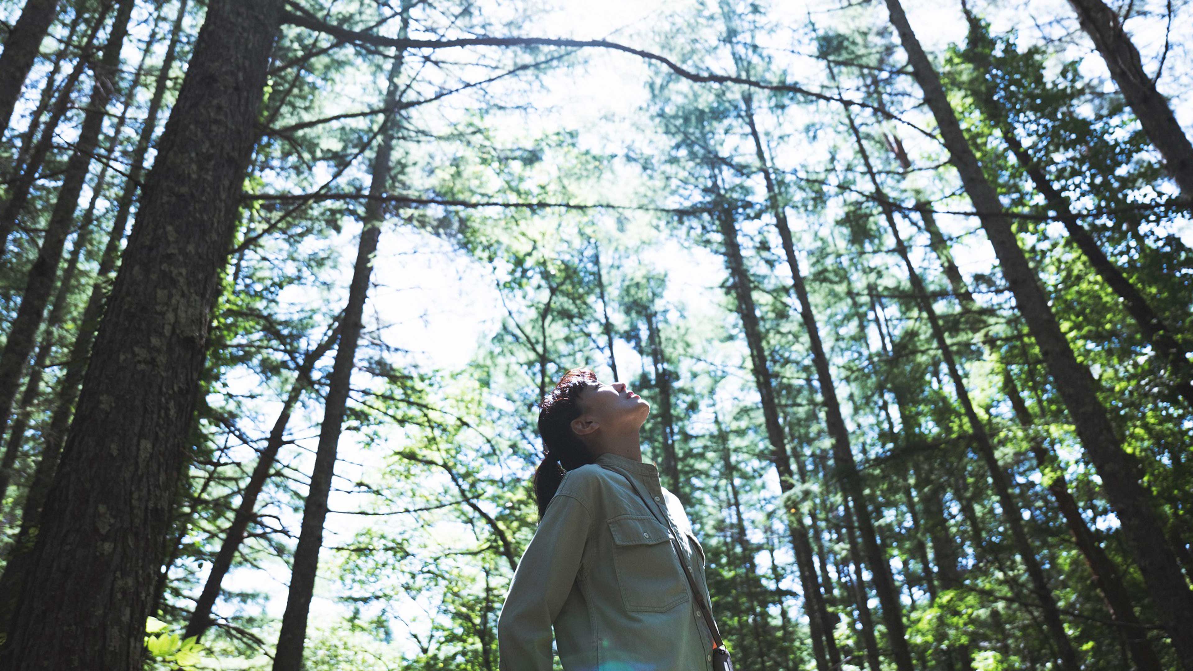 Pension Metsa: Bonfire