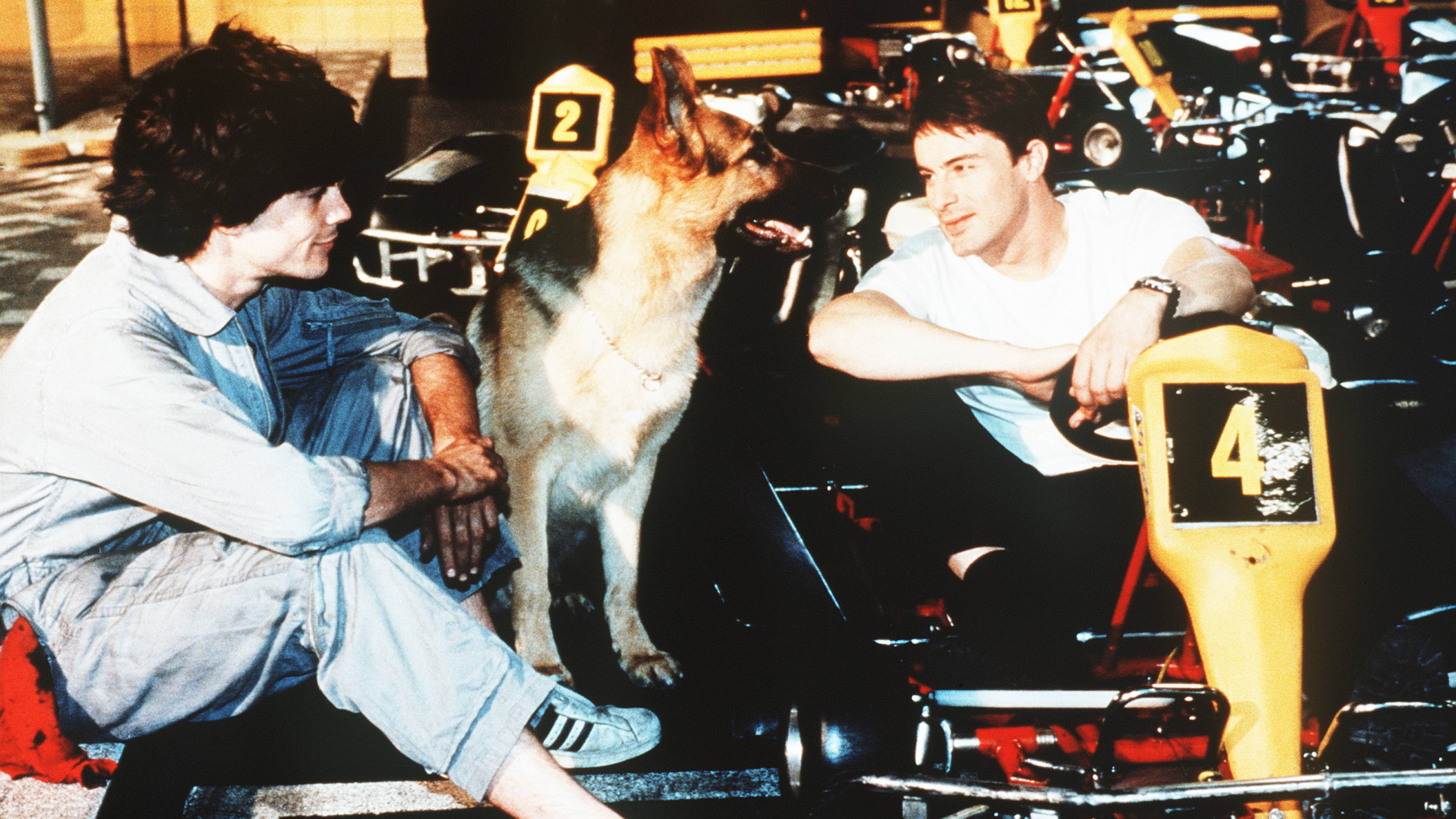 Inspector Rex: A Baby in Danger