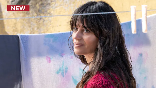 Un Professore (Dubbed): Michel Foucault