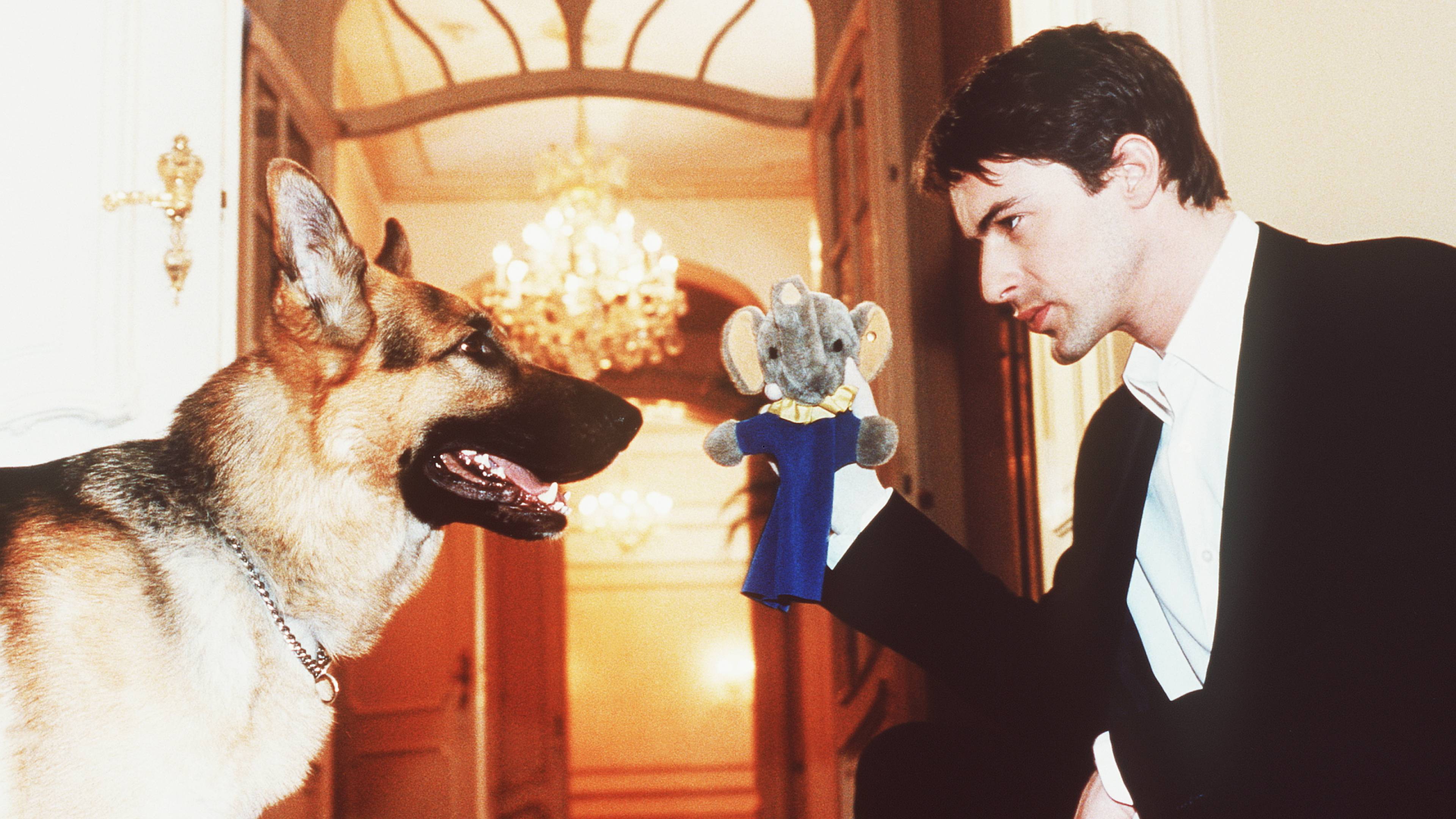 Inspector Rex: Deadly Tarot