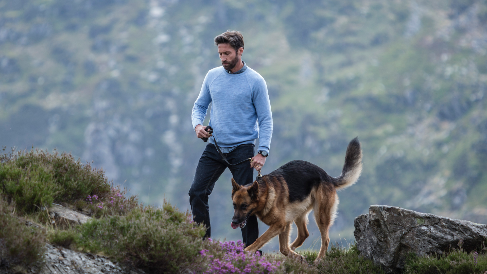 Charlotte Link: In the Valley of the Fox 