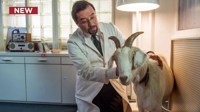 Tatort: Munster: The Miracle of Wolbeck