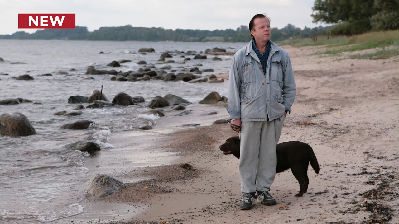 Wallander: The Courier - Season 2 - MHz Choice