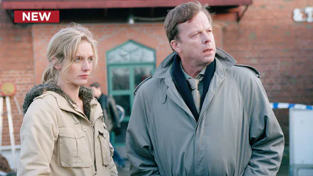 Wallander: The Village Idiot