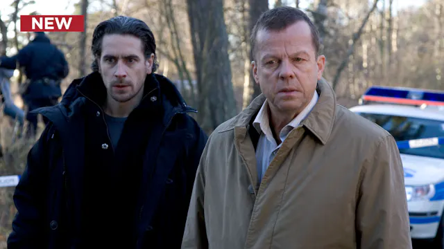 Wallander: The Container Lorry