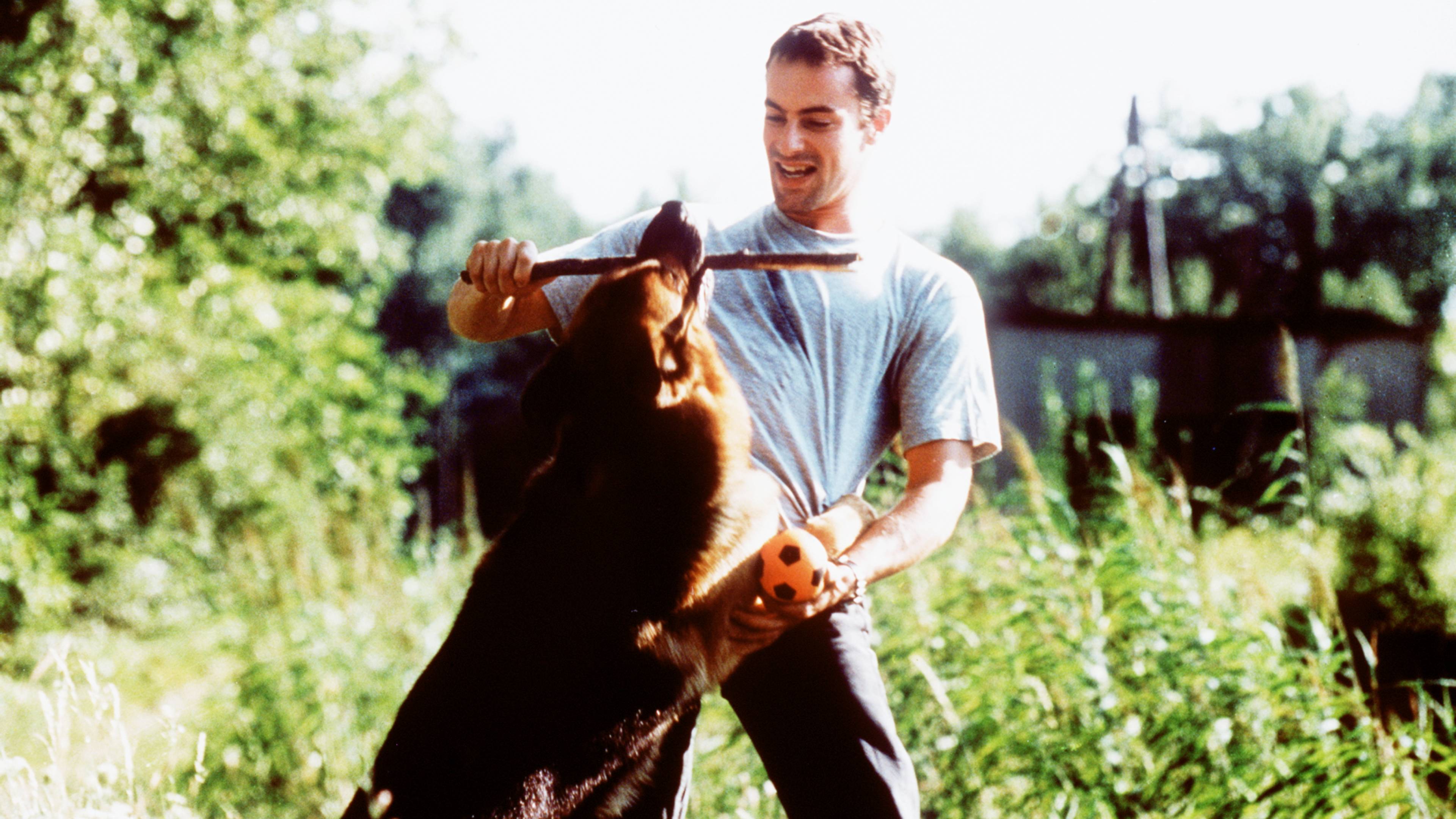 Inspector Rex: The New Guy