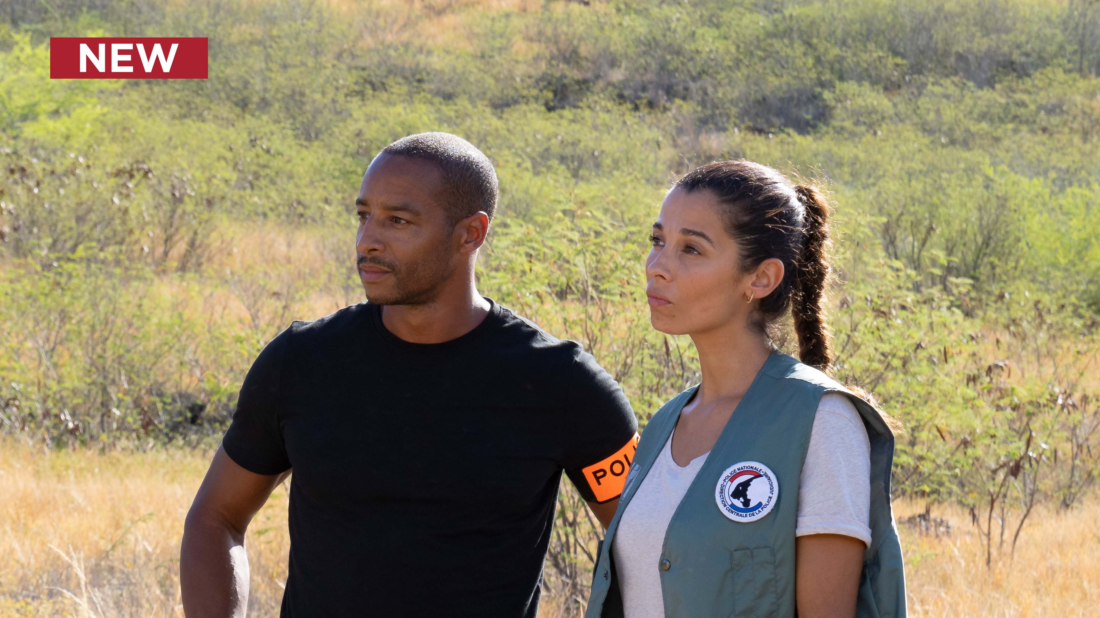 Pacific Criminal: Inflight, Part 2