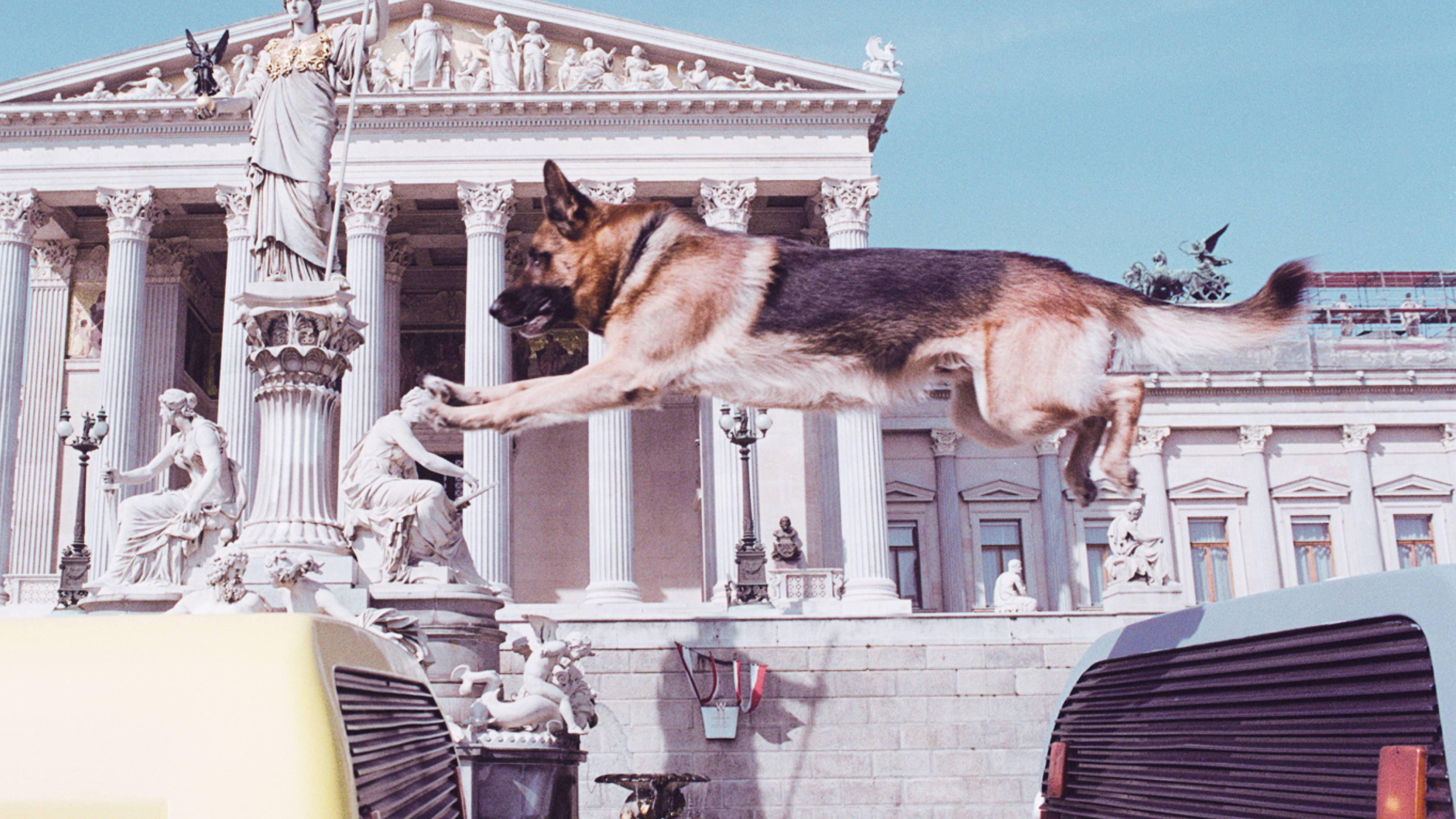 Inspector Rex: The Bluff