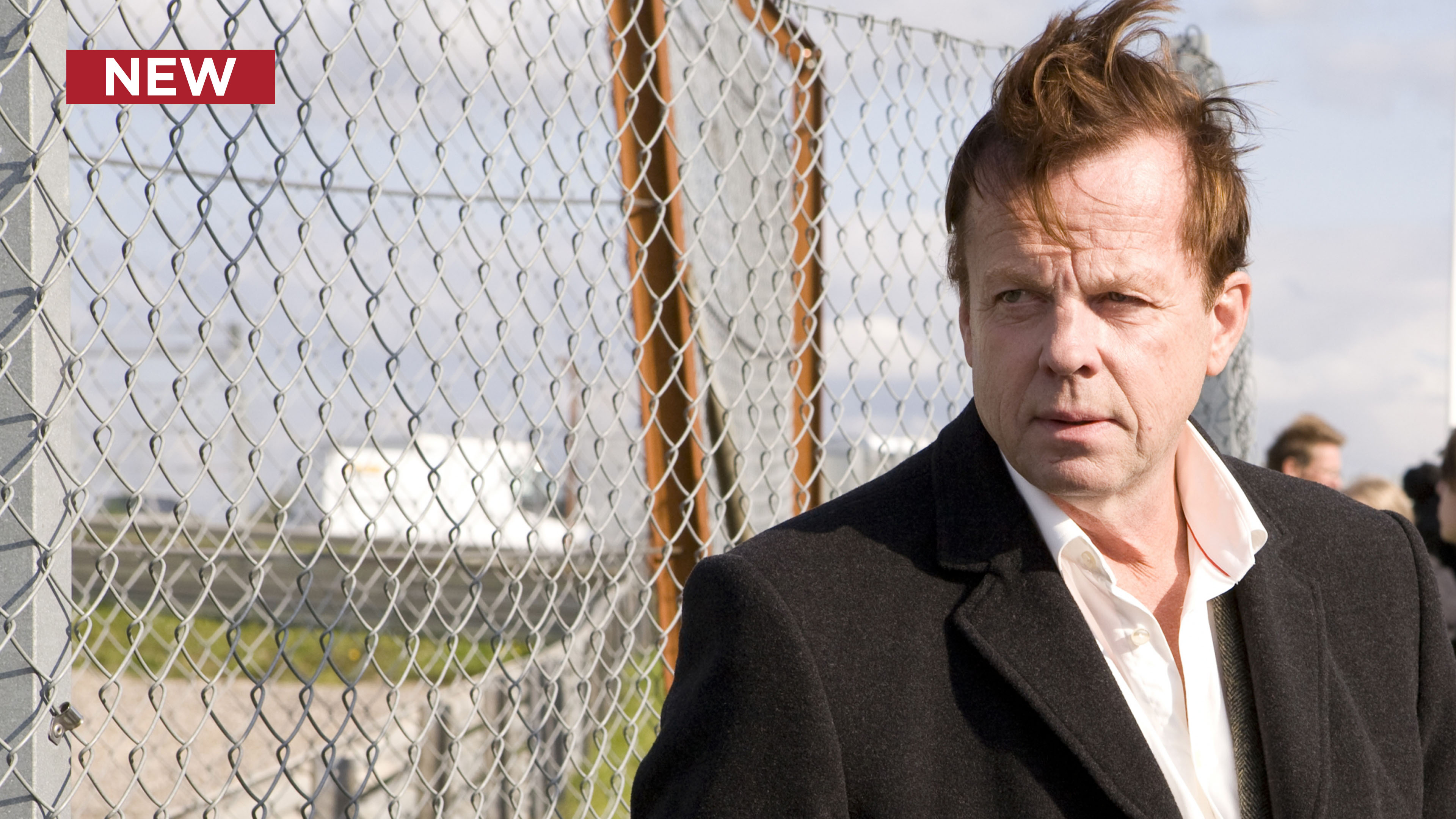 Wallander: The Revenge