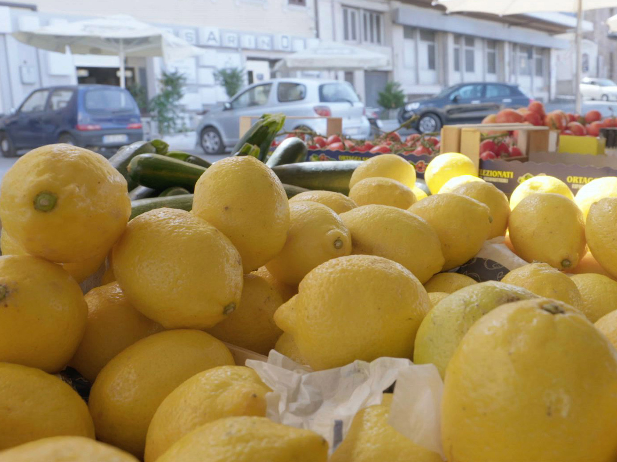 Italy Sicily Gela: Damiano