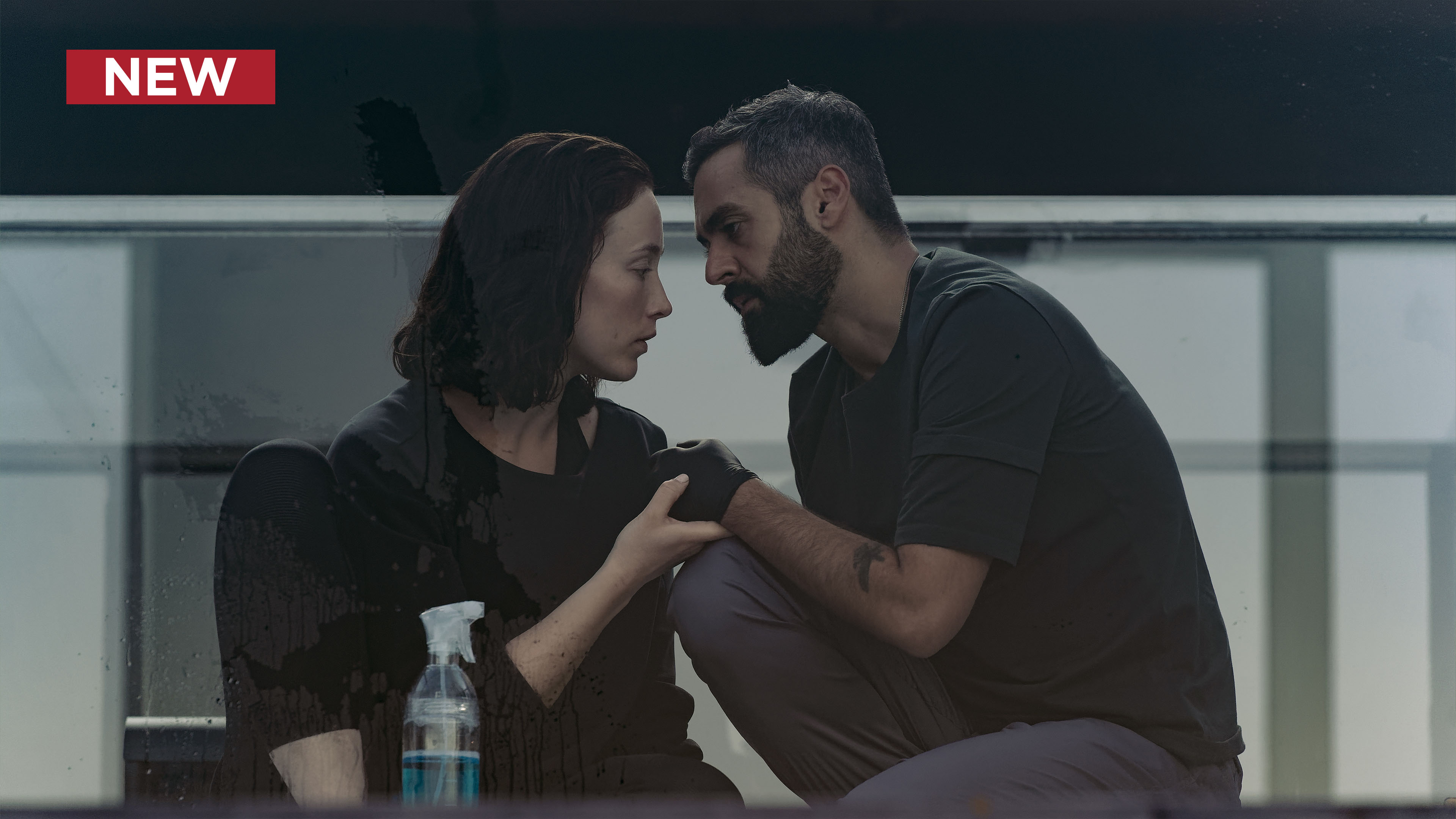 Codename: Annika: Pentimento