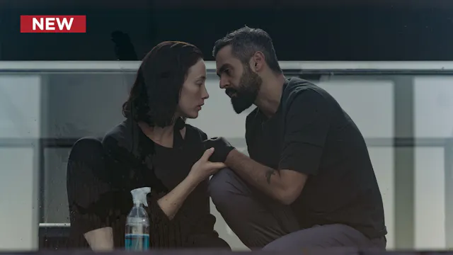 Codename: Annika: Pentimento