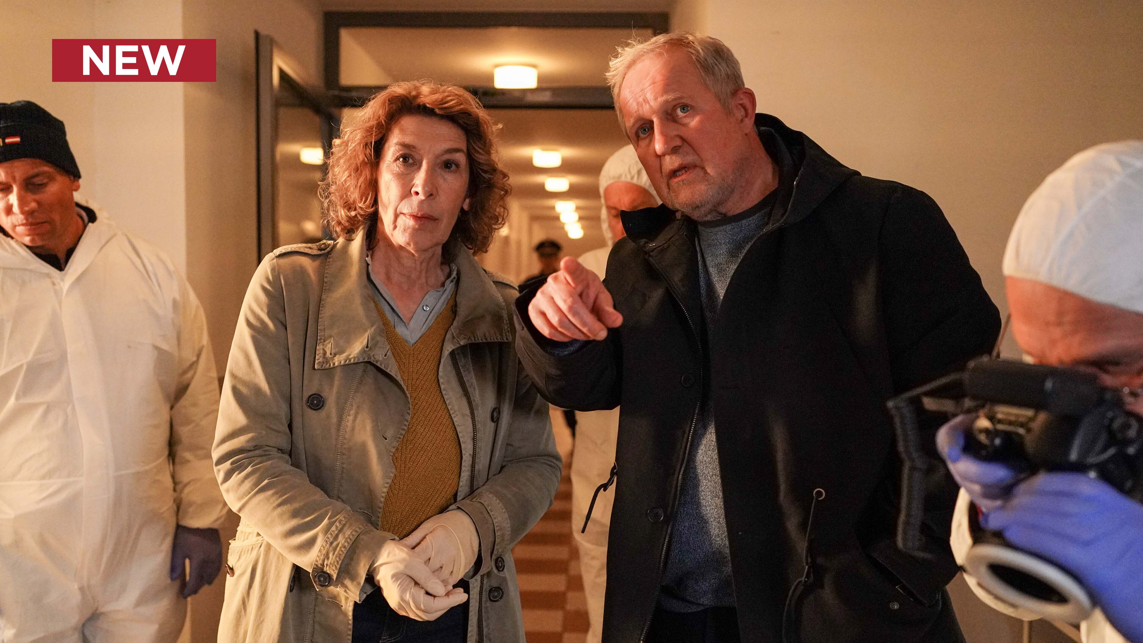 Tatort: Vienna: It's a Terrible World