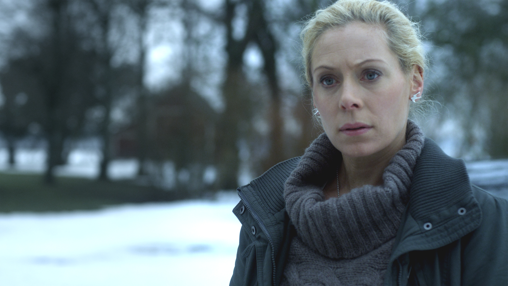 Maria Wern: Dreams From Snow (Sn 1 Ep 3)