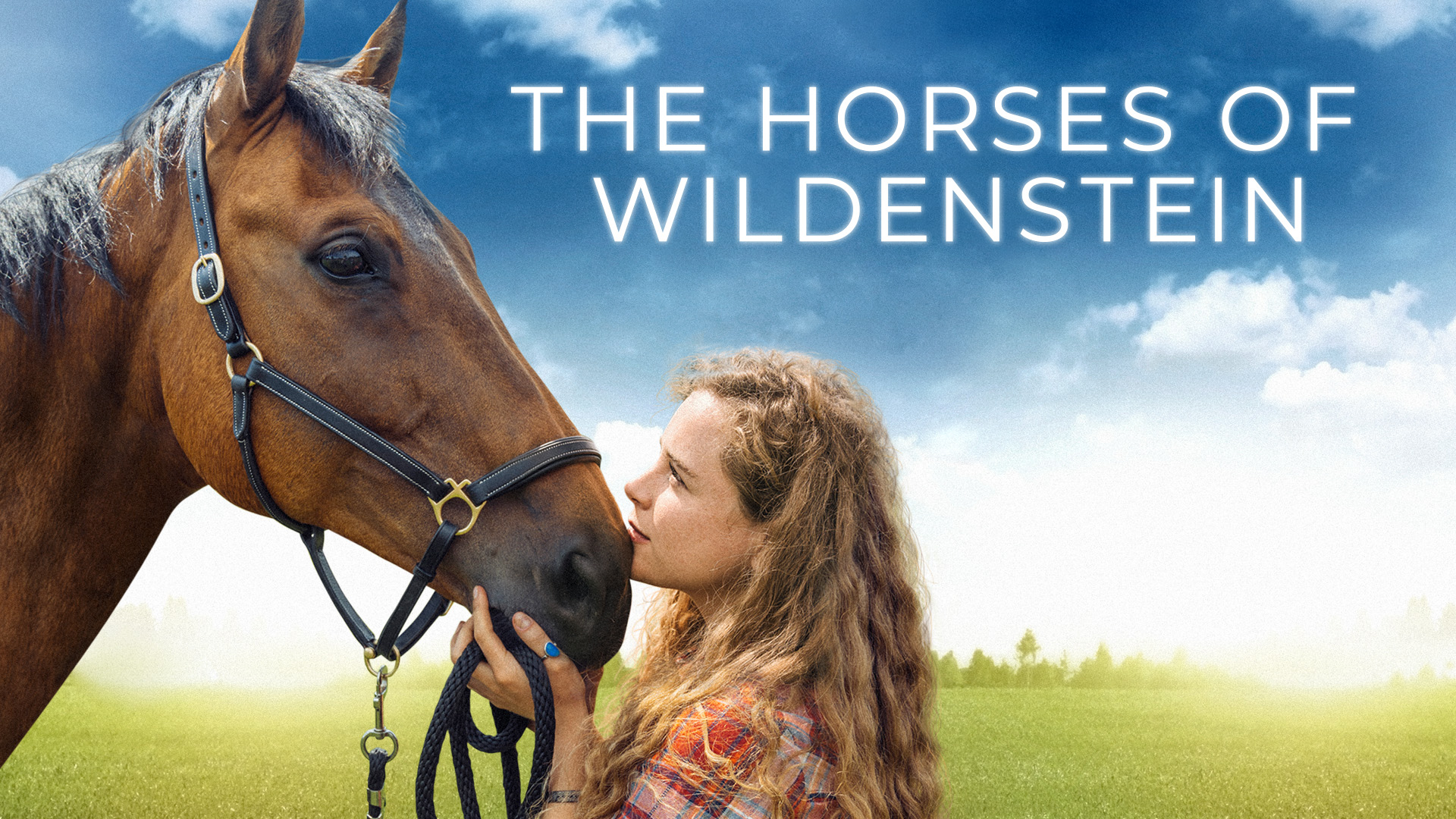 Horses of Wildenstein