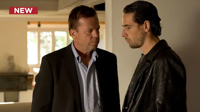 Wallander: The Tricksters