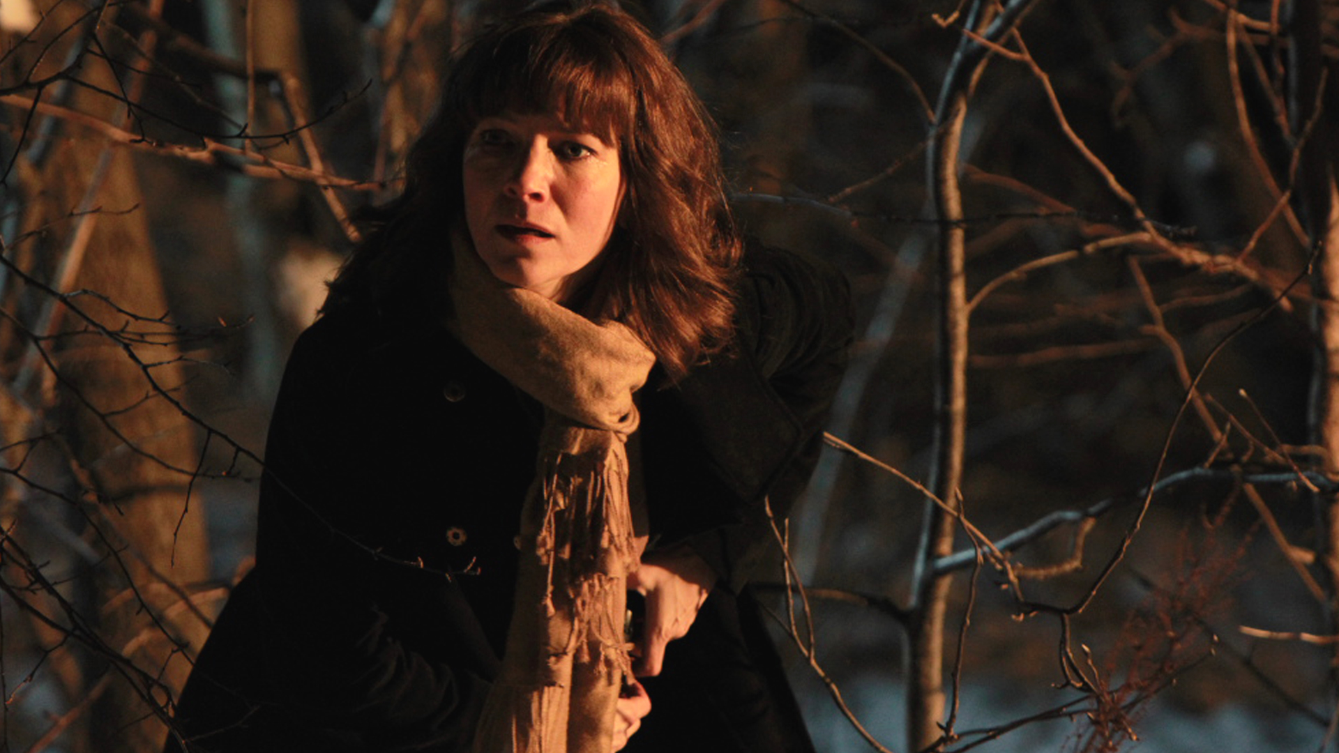 Irene Huss: The Treacherous Net (Sn 2 Ep 2)