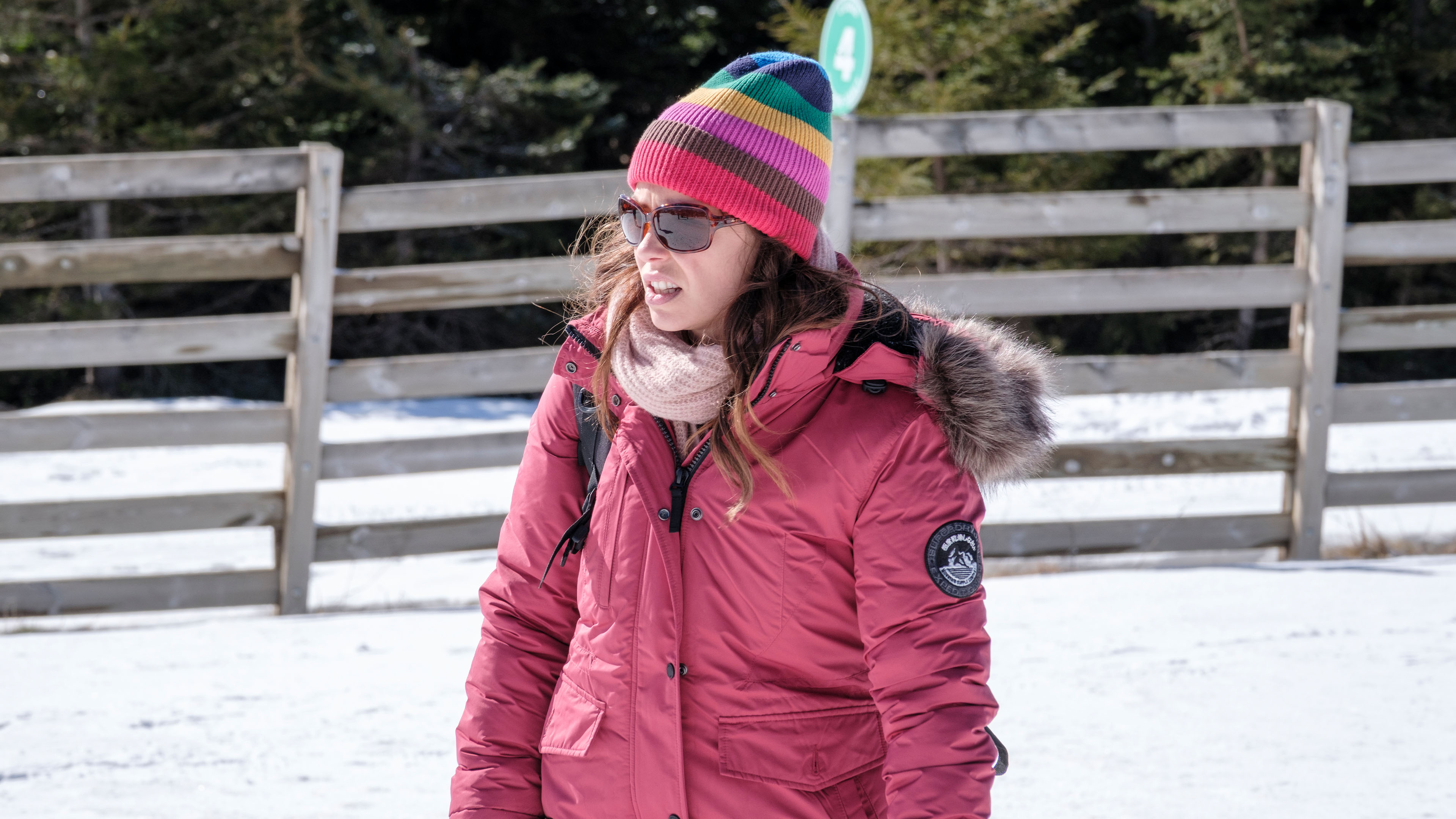 The Doc and the Vet: Of Dogs and Men