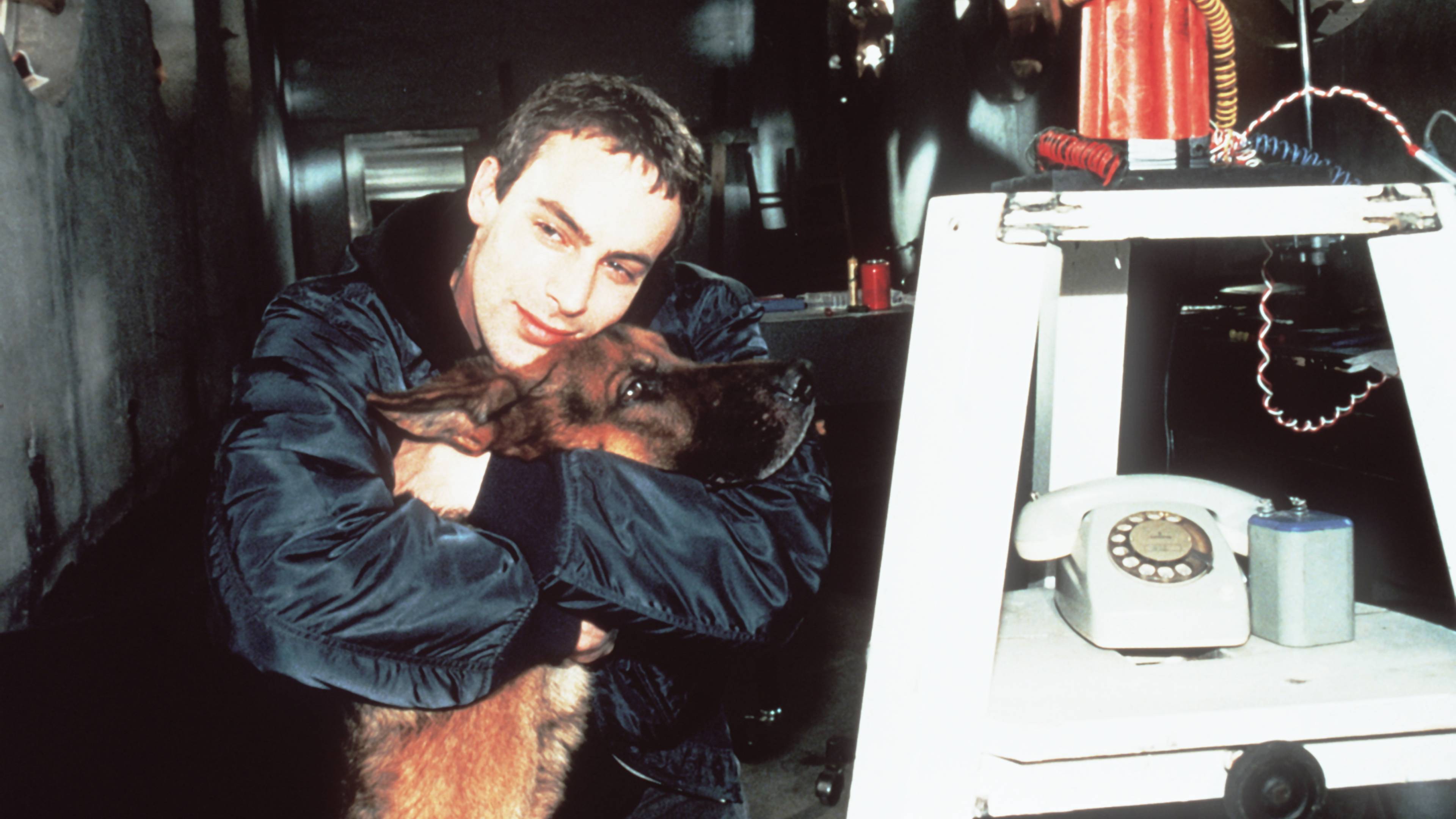 Inspector Rex: Dangerous Mission